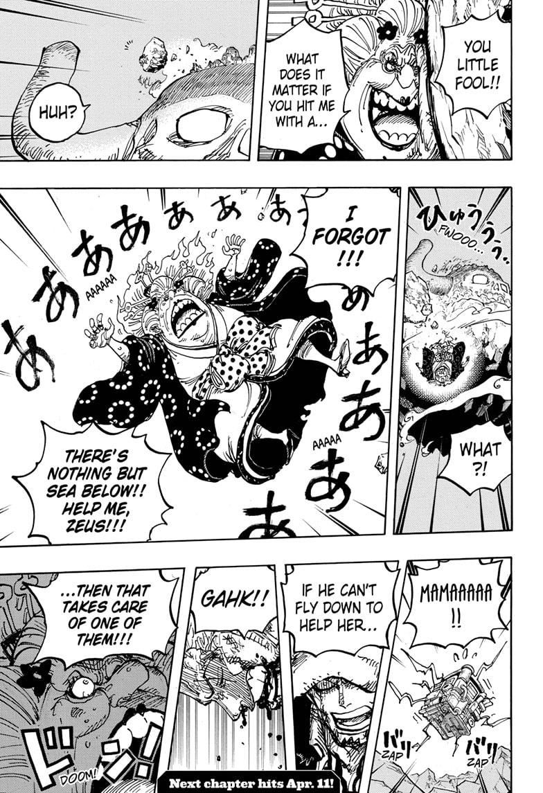 One Piece chapter 1009 - page 17