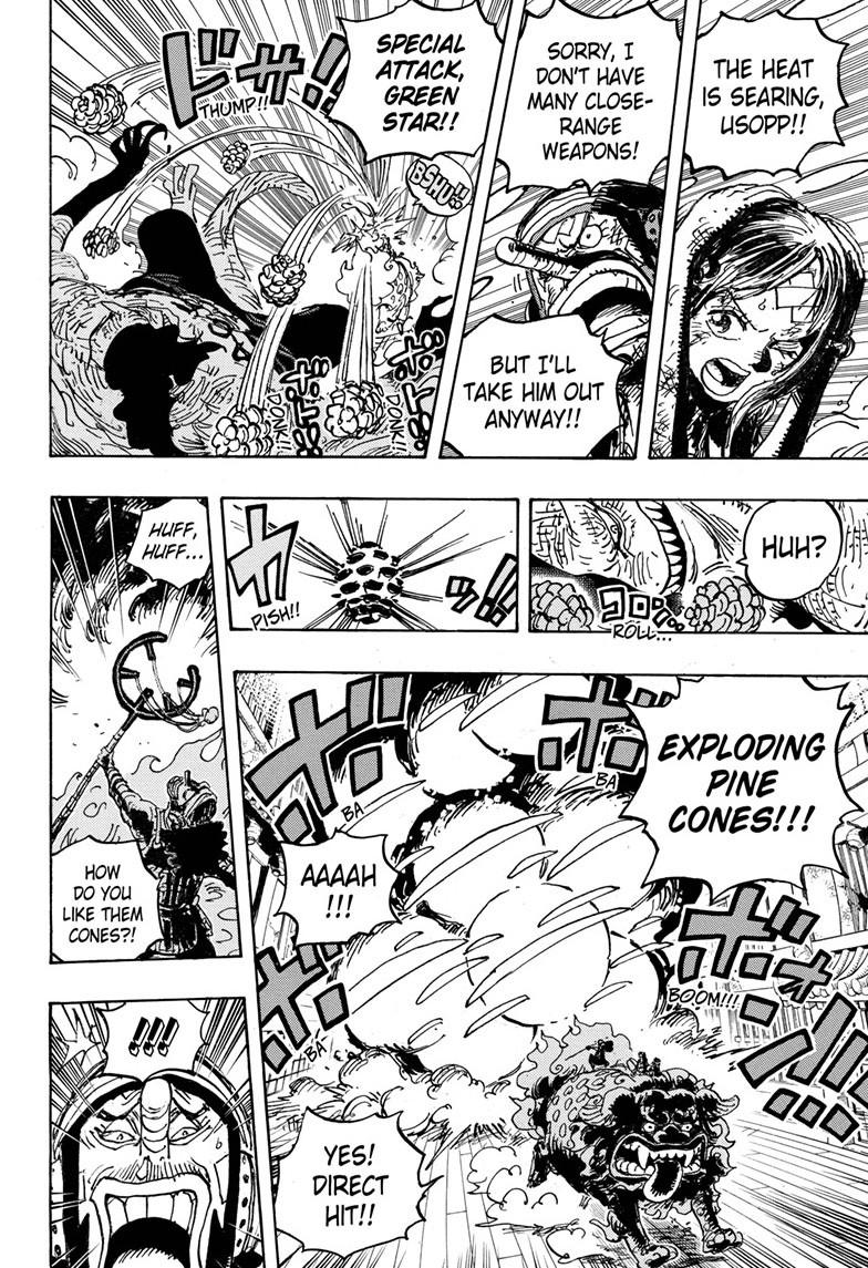 One Piece chapter 1011 - page 14