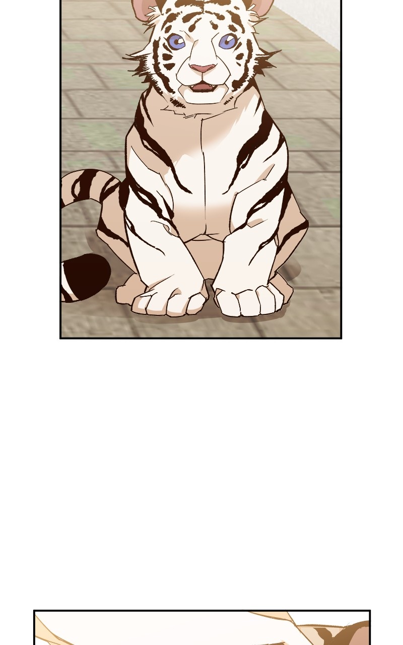 Goddess's Way of Attacking Tigers chapter 1 - page 32