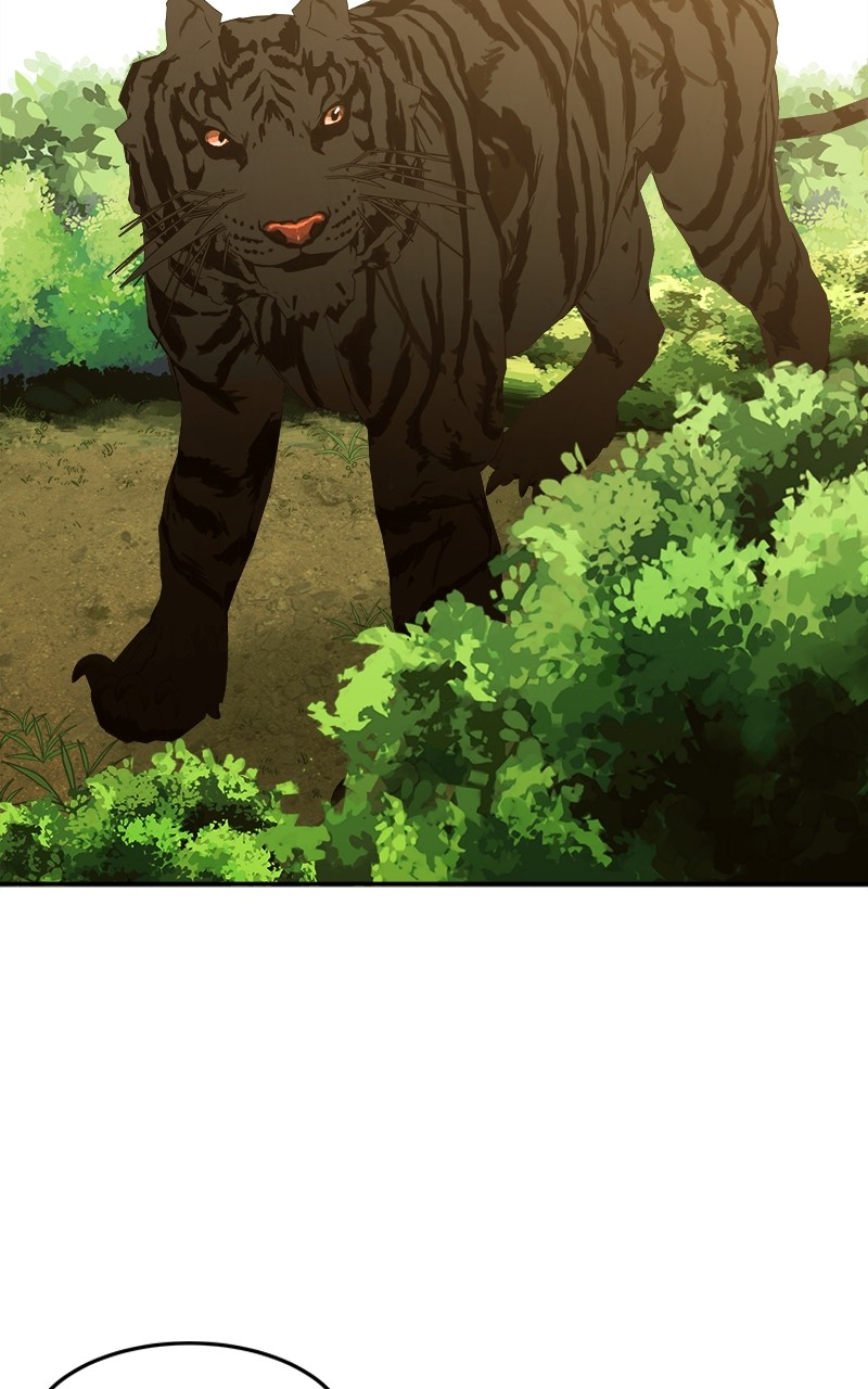 Goddess's Way of Attacking Tigers chapter 2 - page 229