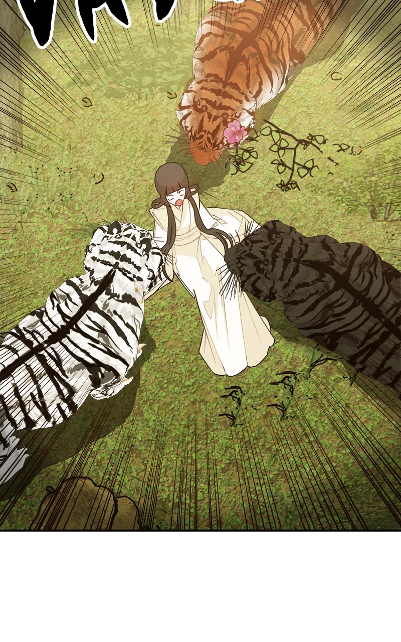Goddess's Way of Attacking Tigers chapter 3 - page 25