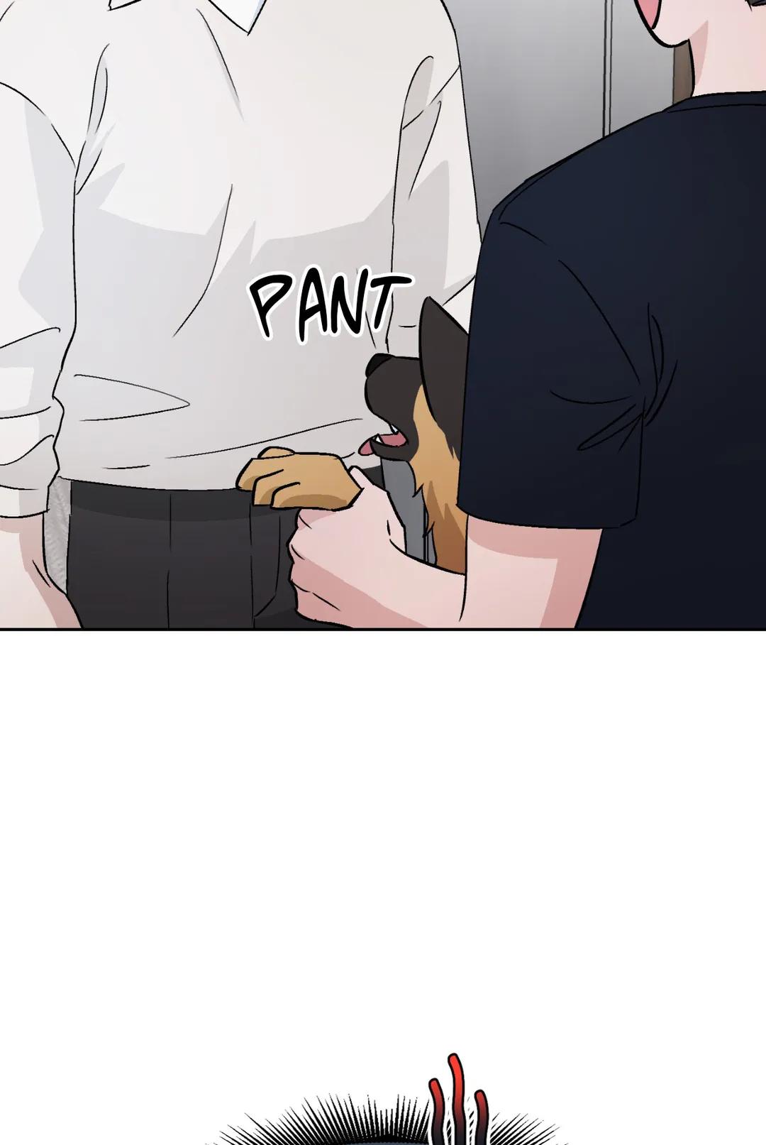 Man’s Best Boyfriend chapter 49 - page 5