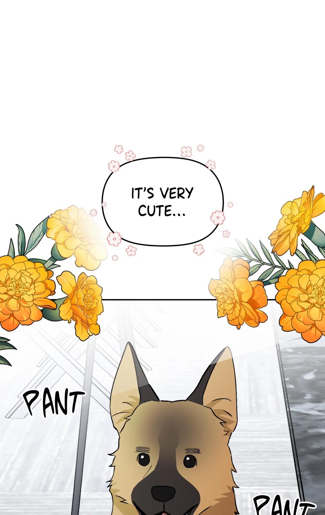 Man’s Best Boyfriend chapter 49 - page 73