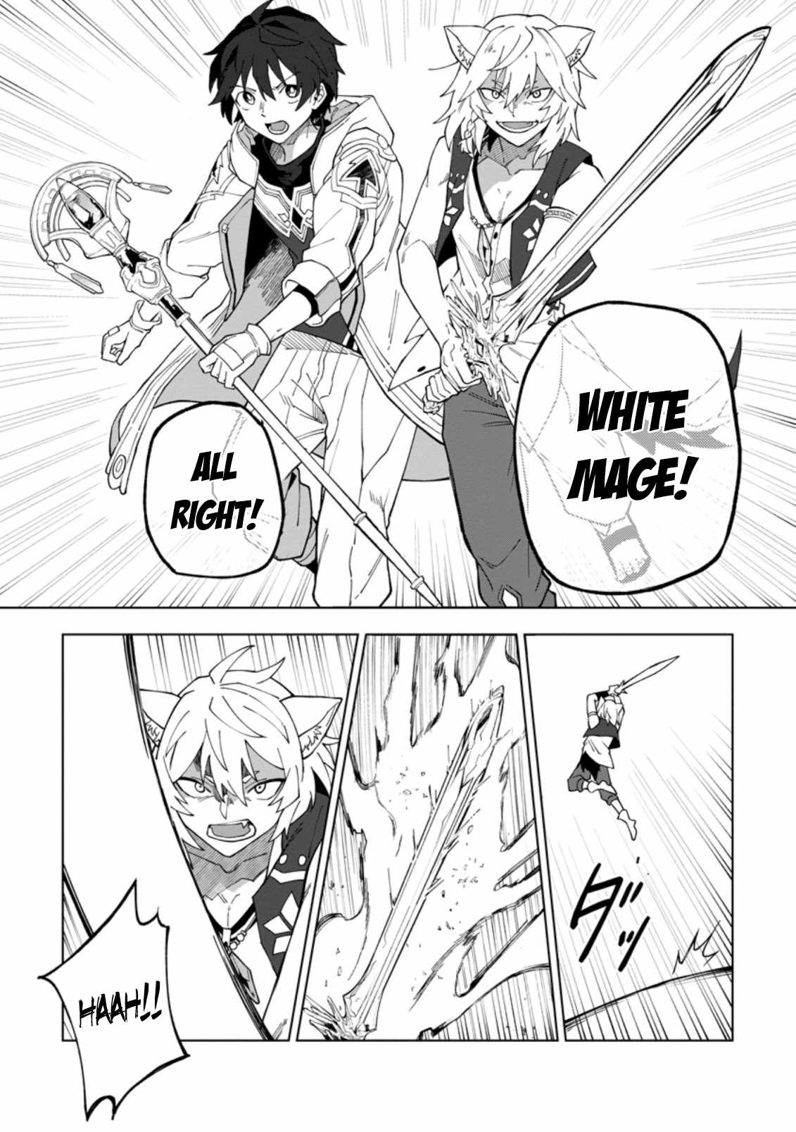 The White Mage Who Was Banished From The Hero's Party Is Picked Up By An S Rank Adventurer~ This White Mage Is Too Out Of The Ordinary! chapter 18.1 - page 11