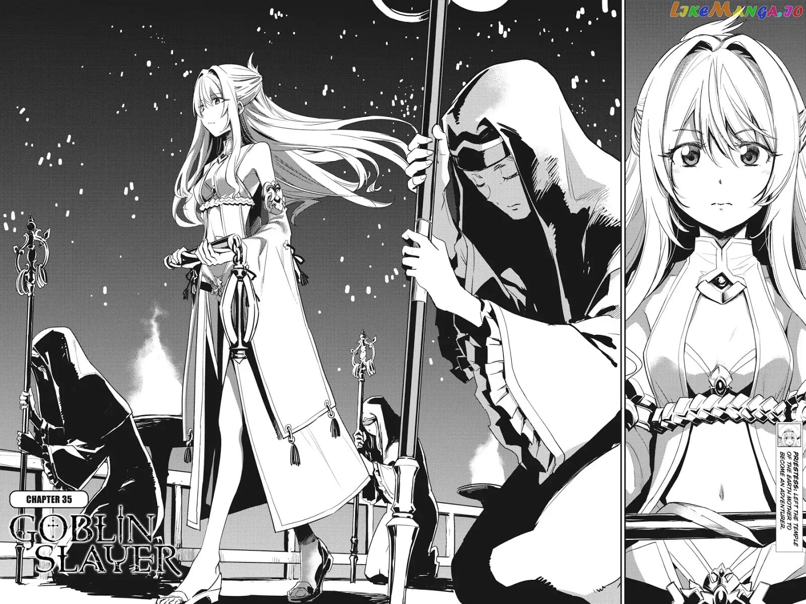 Goblin Slayer chapter 35 - page 3