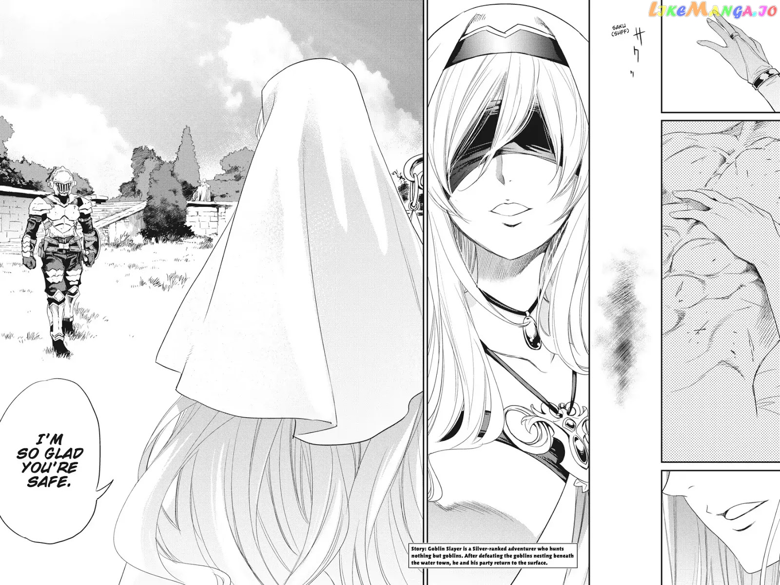 Goblin Slayer chapter 29 - page 3