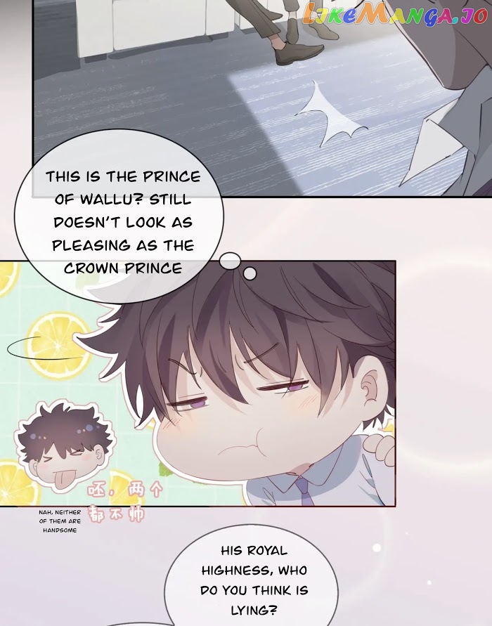 The Royal Prince's First Love chapter 15 - page 13