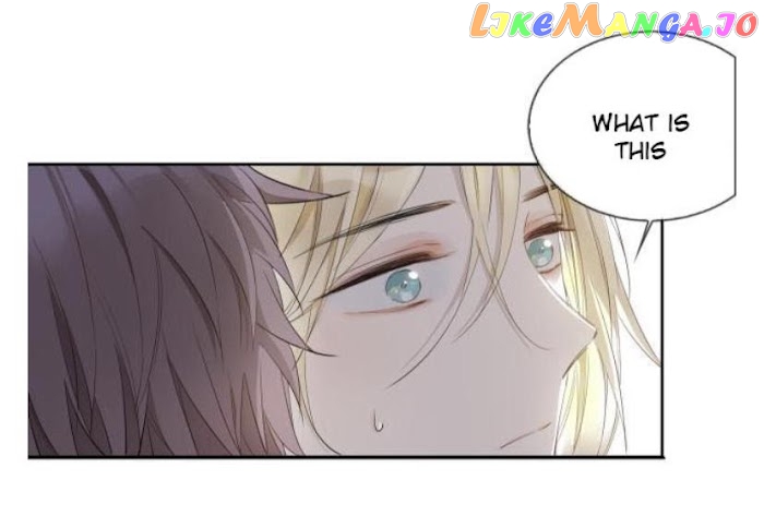 The Royal Prince's First Love chapter 27.5 - page 14