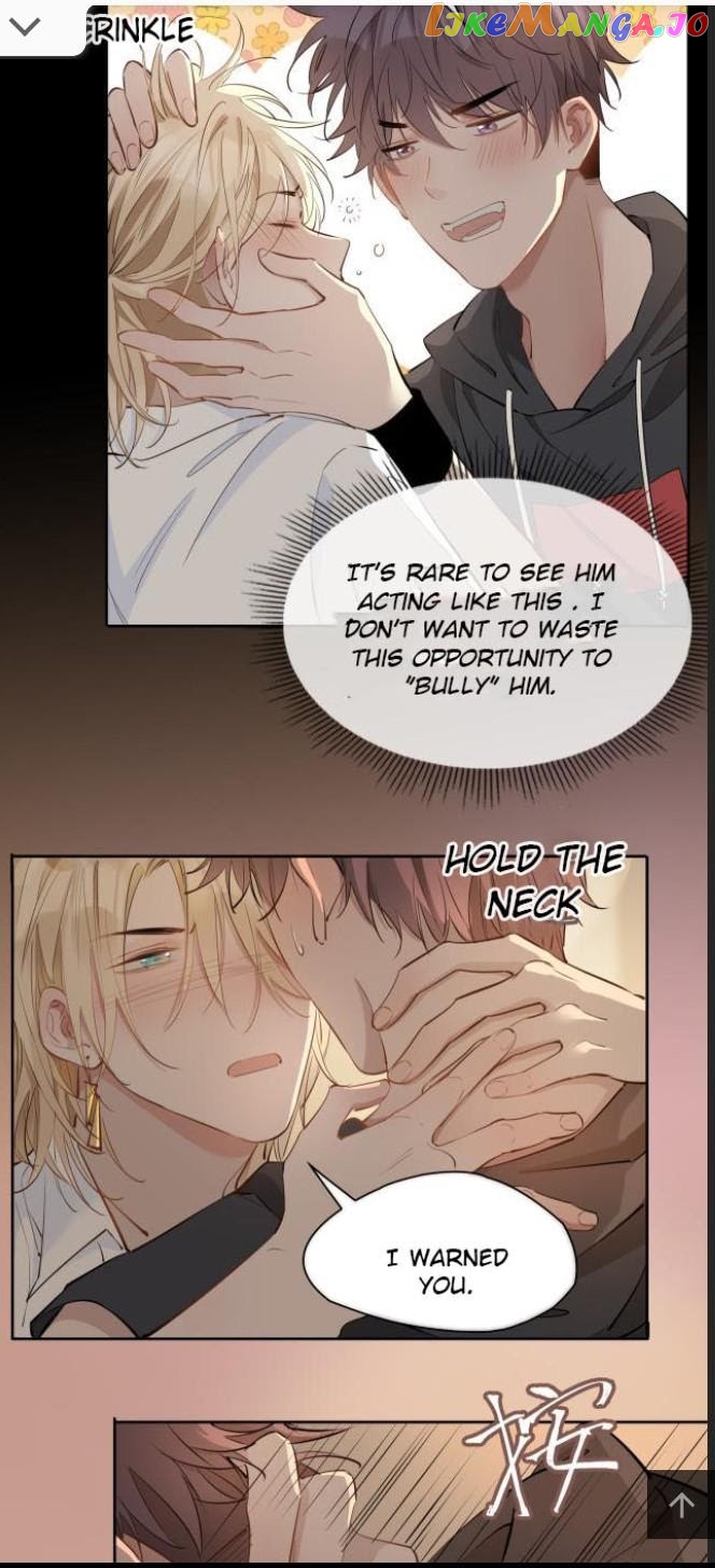 The Royal Prince's First Love chapter 28.5 - page 9