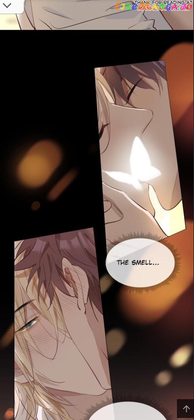 The Royal Prince's First Love chapter 28.5 - page 15
