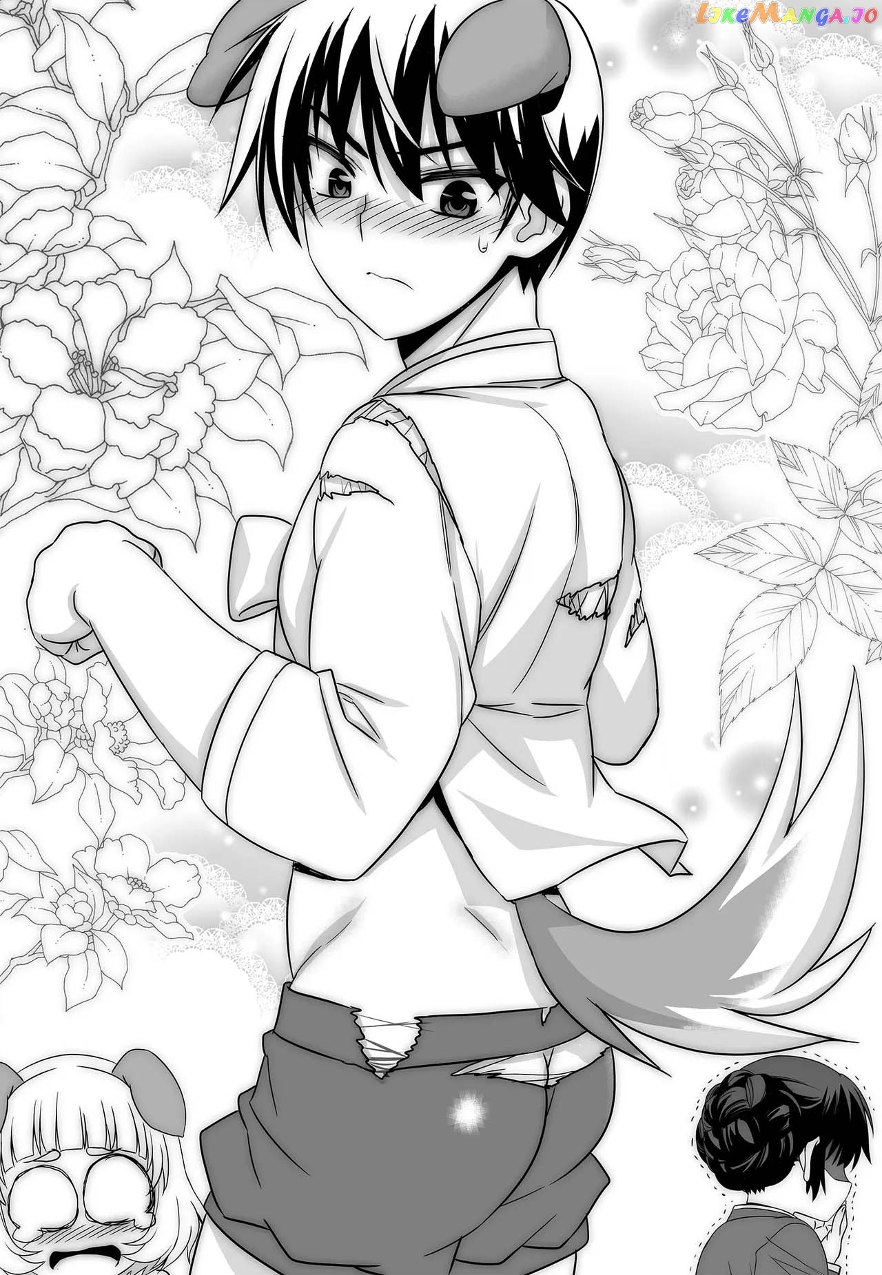My Love Tiger chapter 238 - page 2