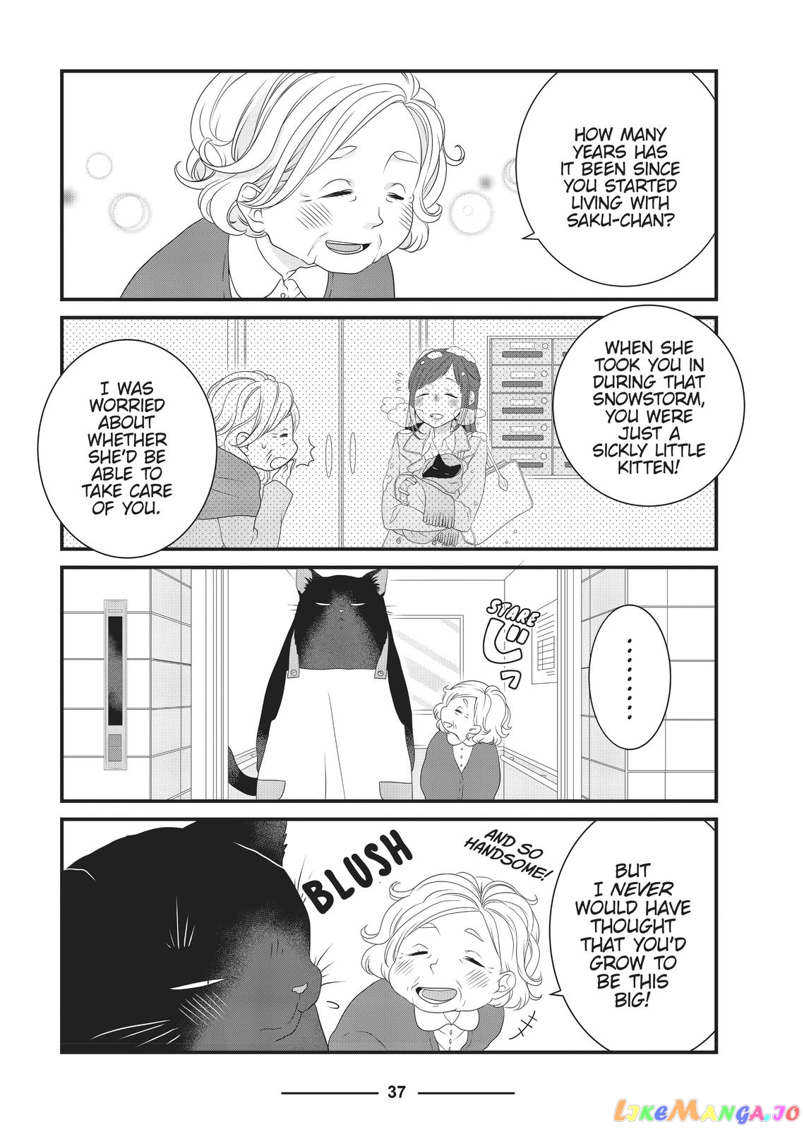 The Deceitful Cat Is Depressed Again Today chapter 4 - page 3