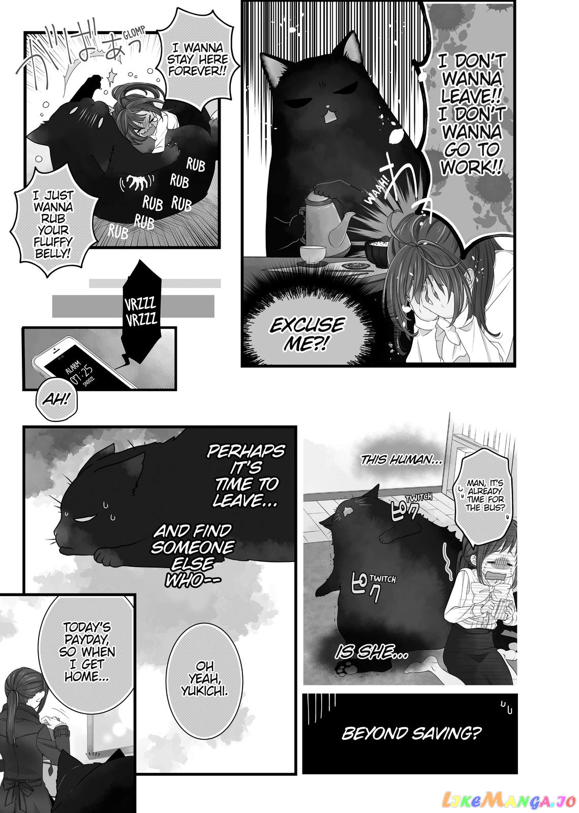 The Deceitful Cat Is Depressed Again Today chapter 22.5 - page 13