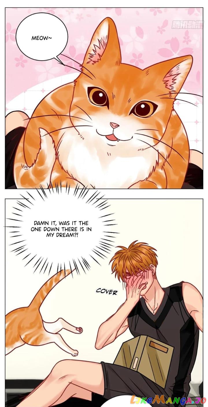 Boy's Dormitory 303 chapter 180 - page 19