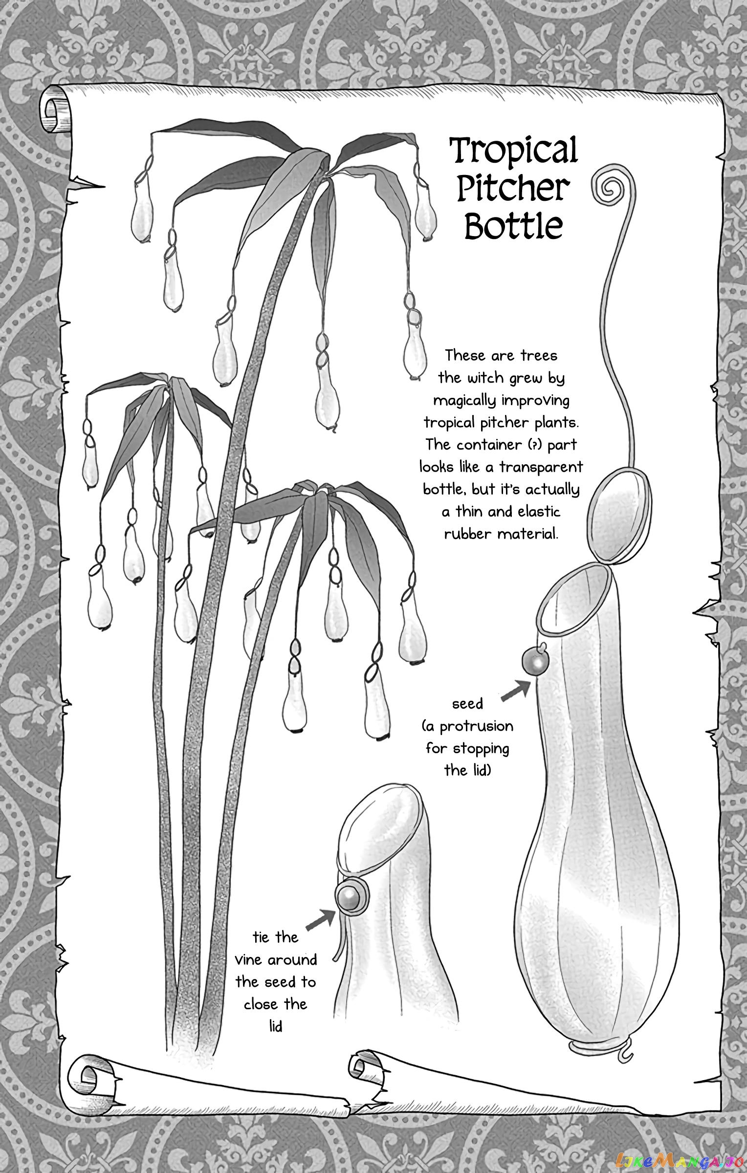 Champignon no Majo chapter 1 - page 30