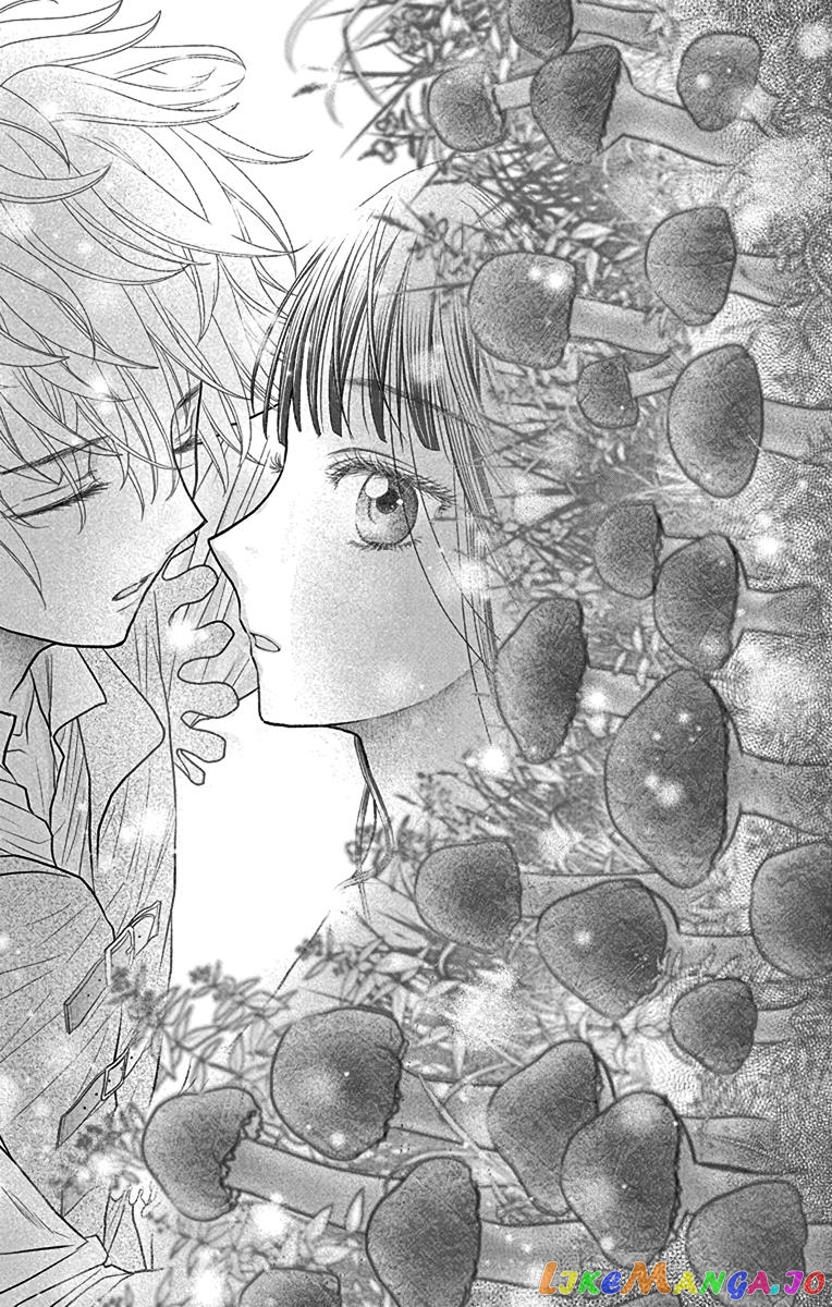 Champignon no Majo chapter 4 - page 41