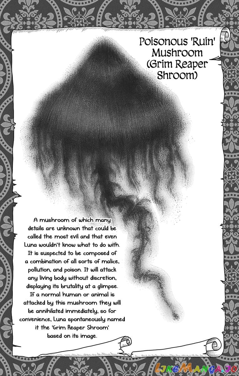 Champignon no Majo chapter 5 - page 32