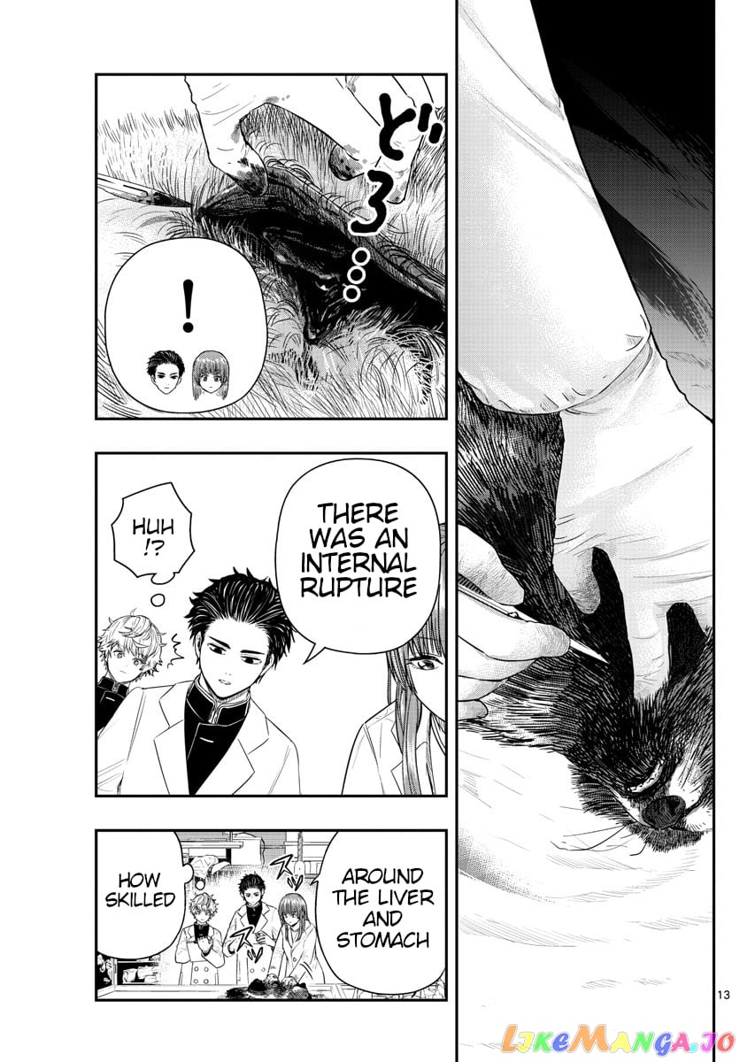 Last Karte – Houjuuigakusha Touma Kenshou No Kioku chapter 2 - page 13