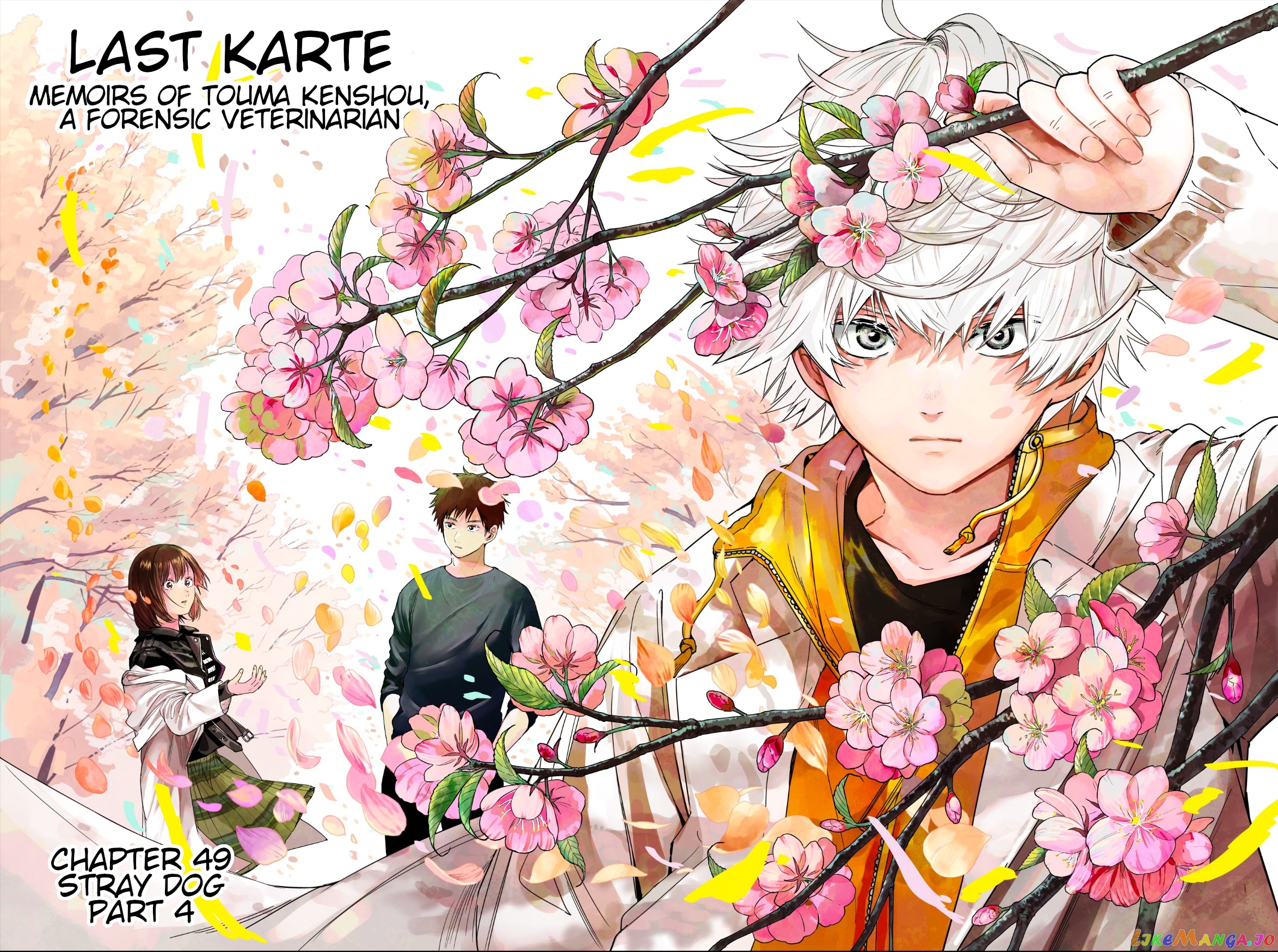 Last Karte – Houjuuigakusha Touma Kenshou No Kioku chapter 49 - page 2
