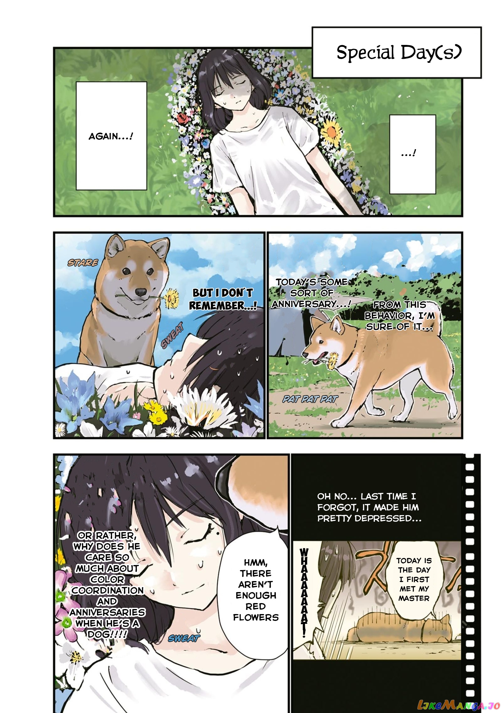 Roaming The Apocalypse With My Shiba Inu chapter 26 - page 9