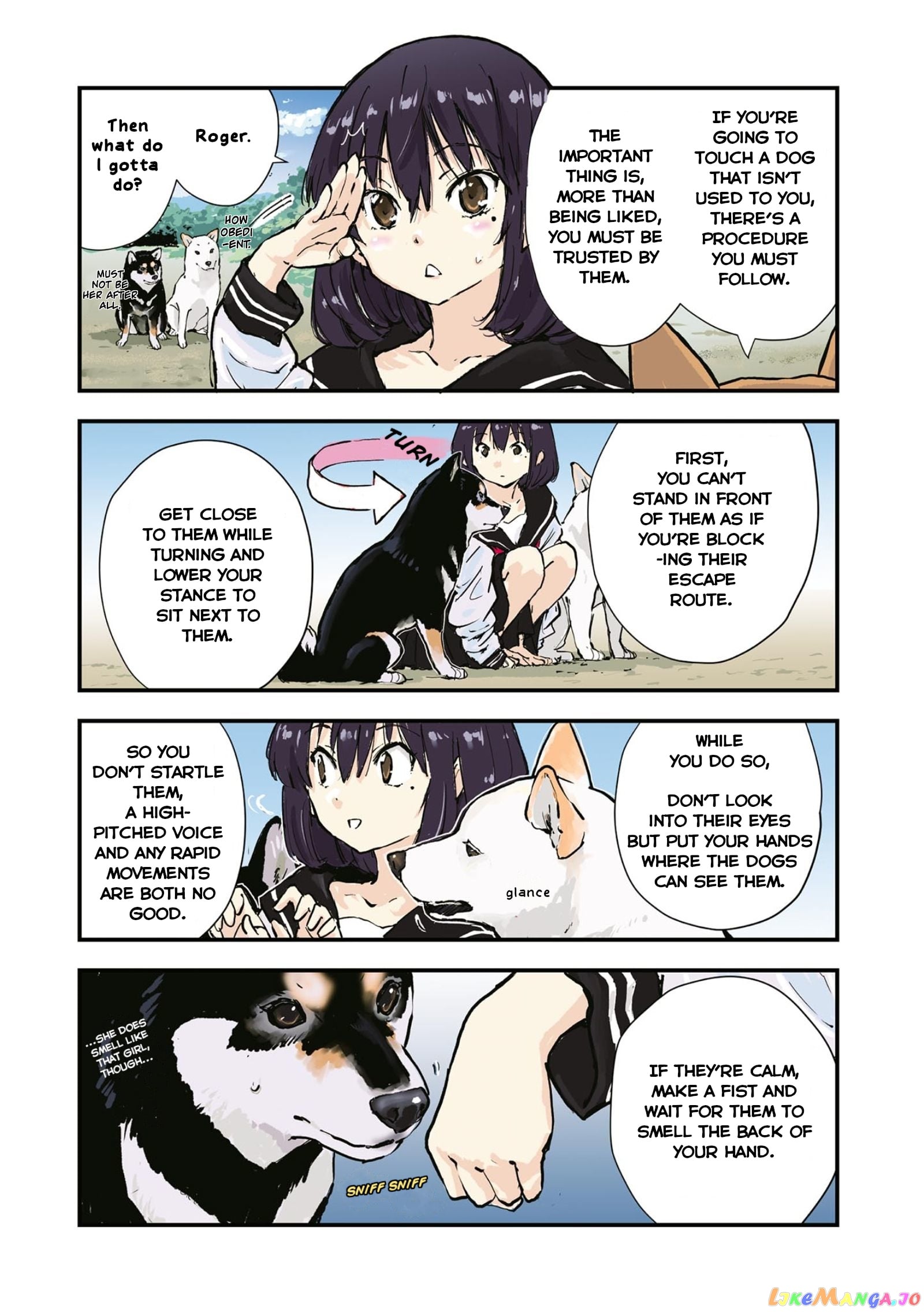 Roaming The Apocalypse With My Shiba Inu chapter 29 - page 6