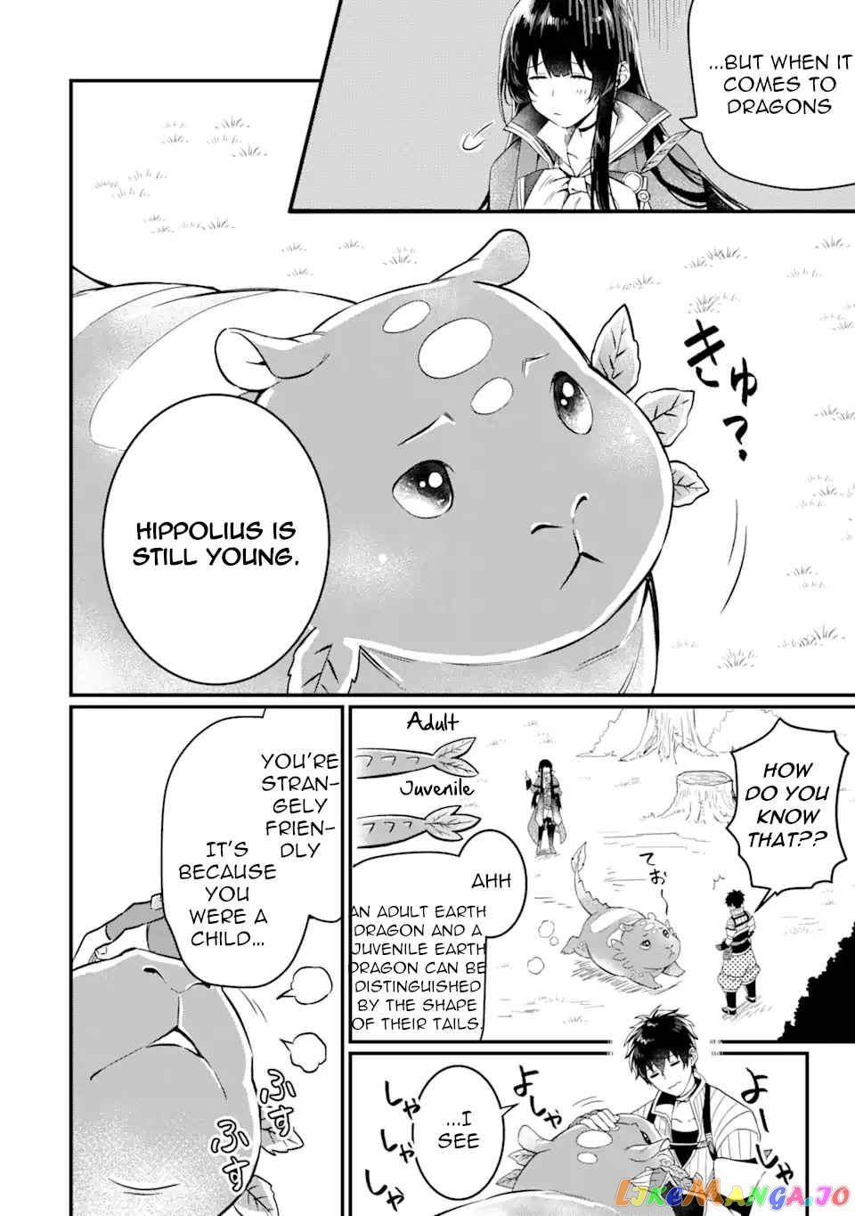 The Strange Dragon and the Former Choreman of the Heroes Party, Relaxing Slow Life on the New Continent chapter 2.2 - page 7