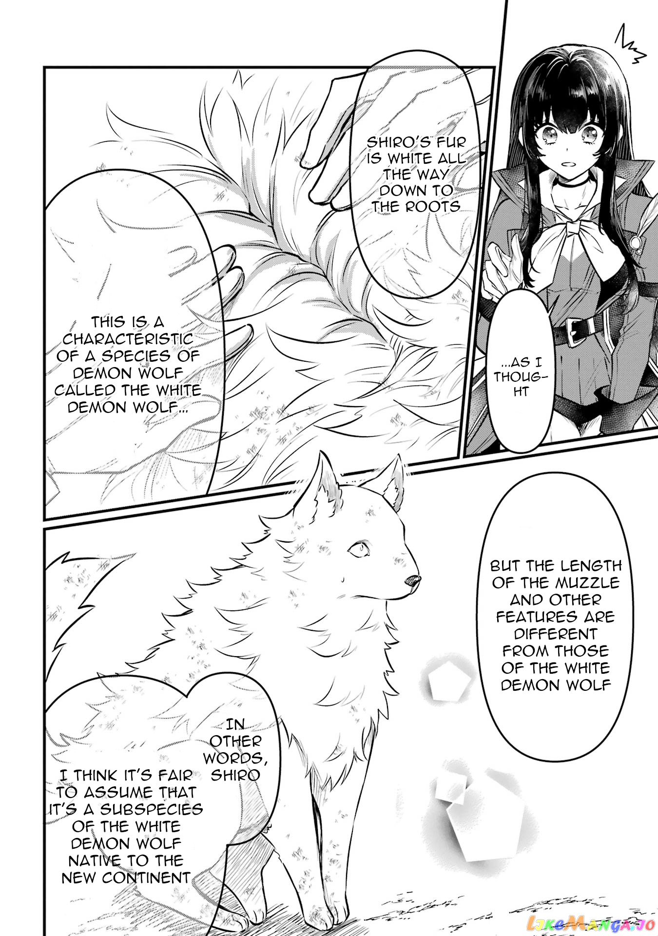 The Strange Dragon and the Former Choreman of the Heroes Party, Relaxing Slow Life on the New Continent chapter 4 - page 20