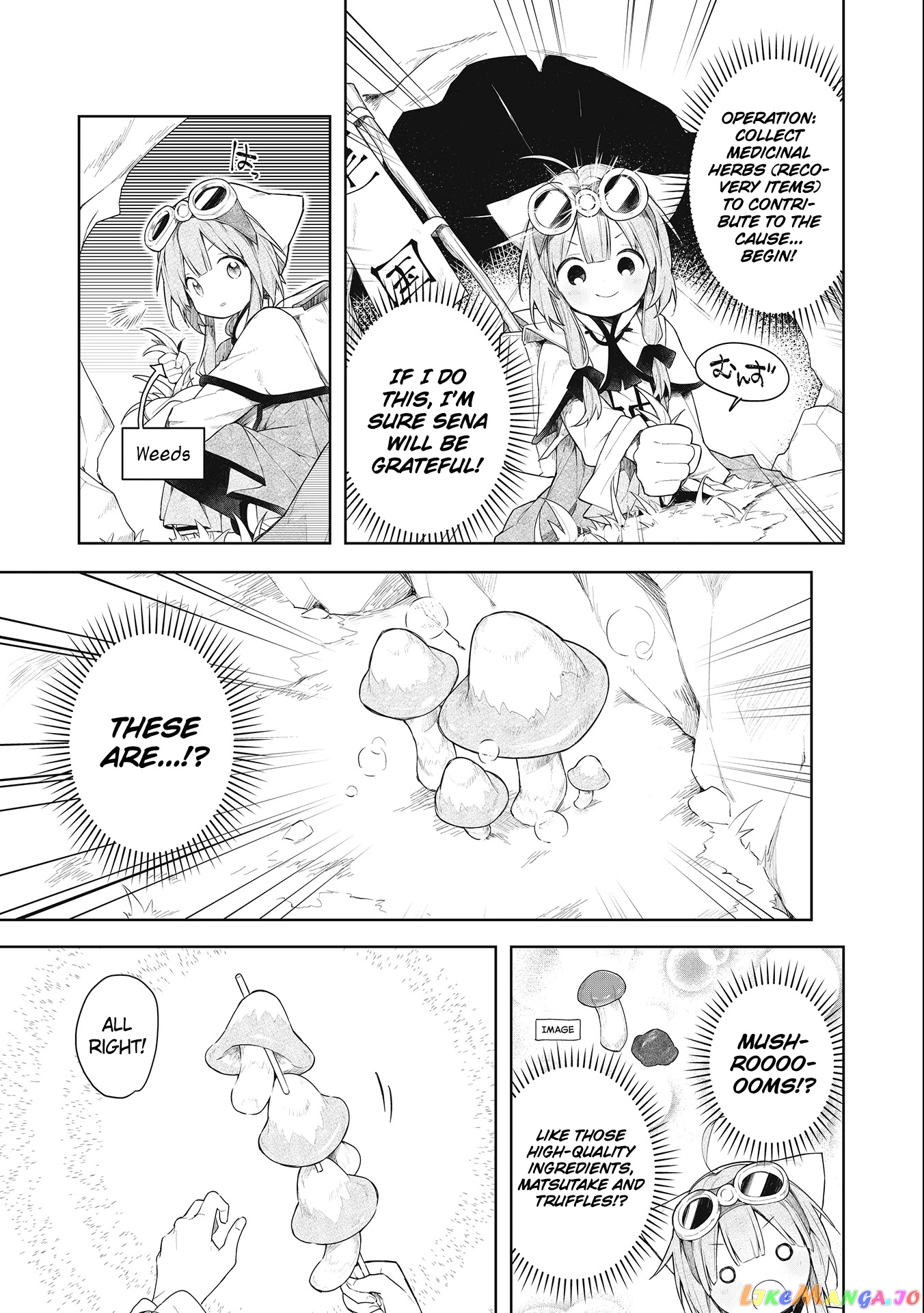 A Ruined Princess and Alternate World Hero Make a Great Country! chapter 1.1 - page 16