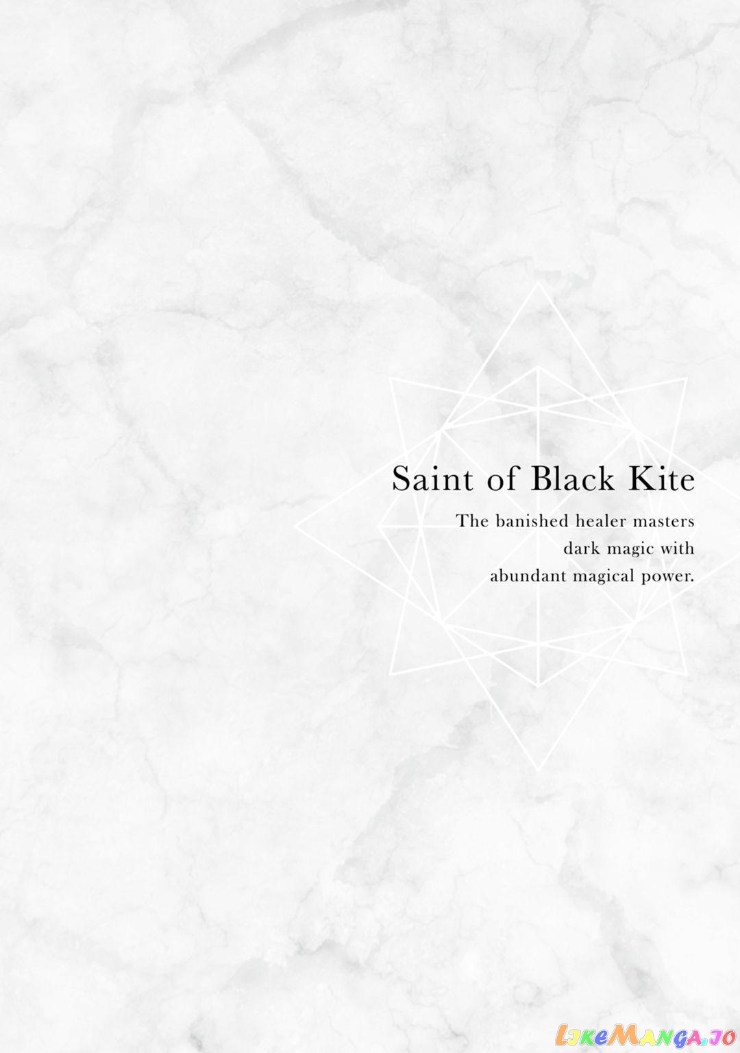 Saint Of Black Kite~ The Banished Healer Masters Dark Magic With Abundant Magical Power chapter 11 - page 3