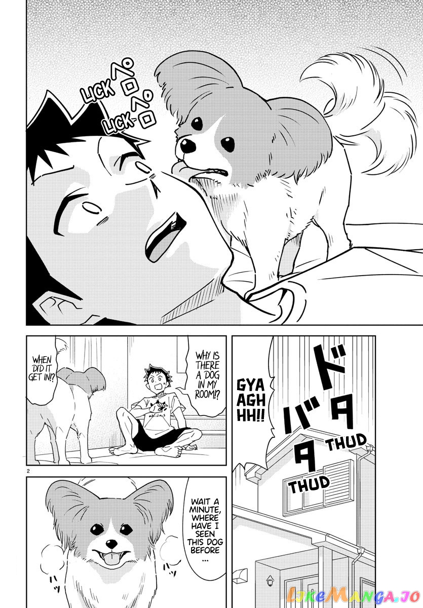 Atsumare! Fushigi Kenkyu-Bu chapter 325 - page 2