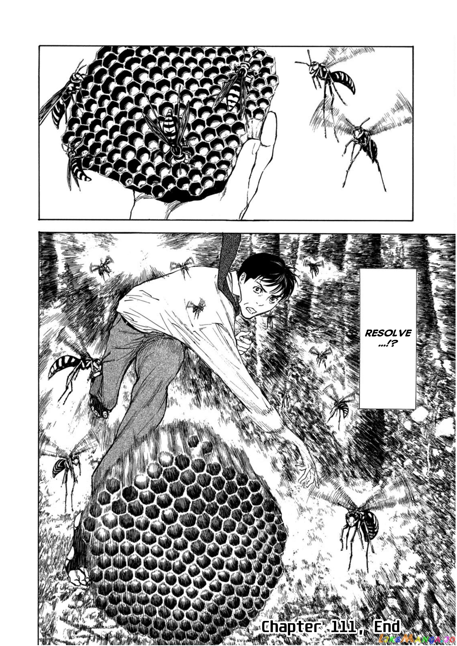 My Home Hero chapter 111 - page 20