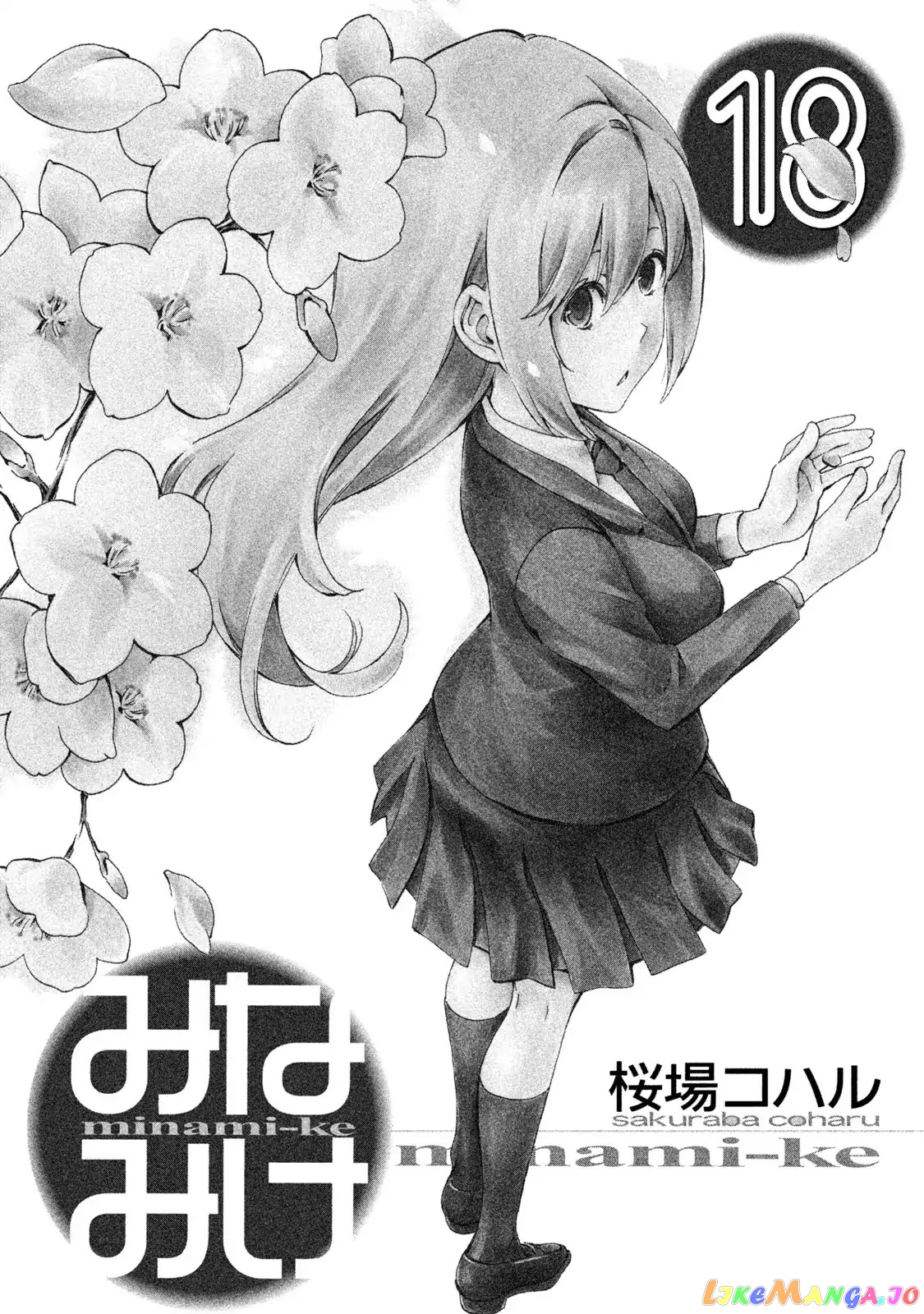Minami-Ke chapter 339.5 - page 3