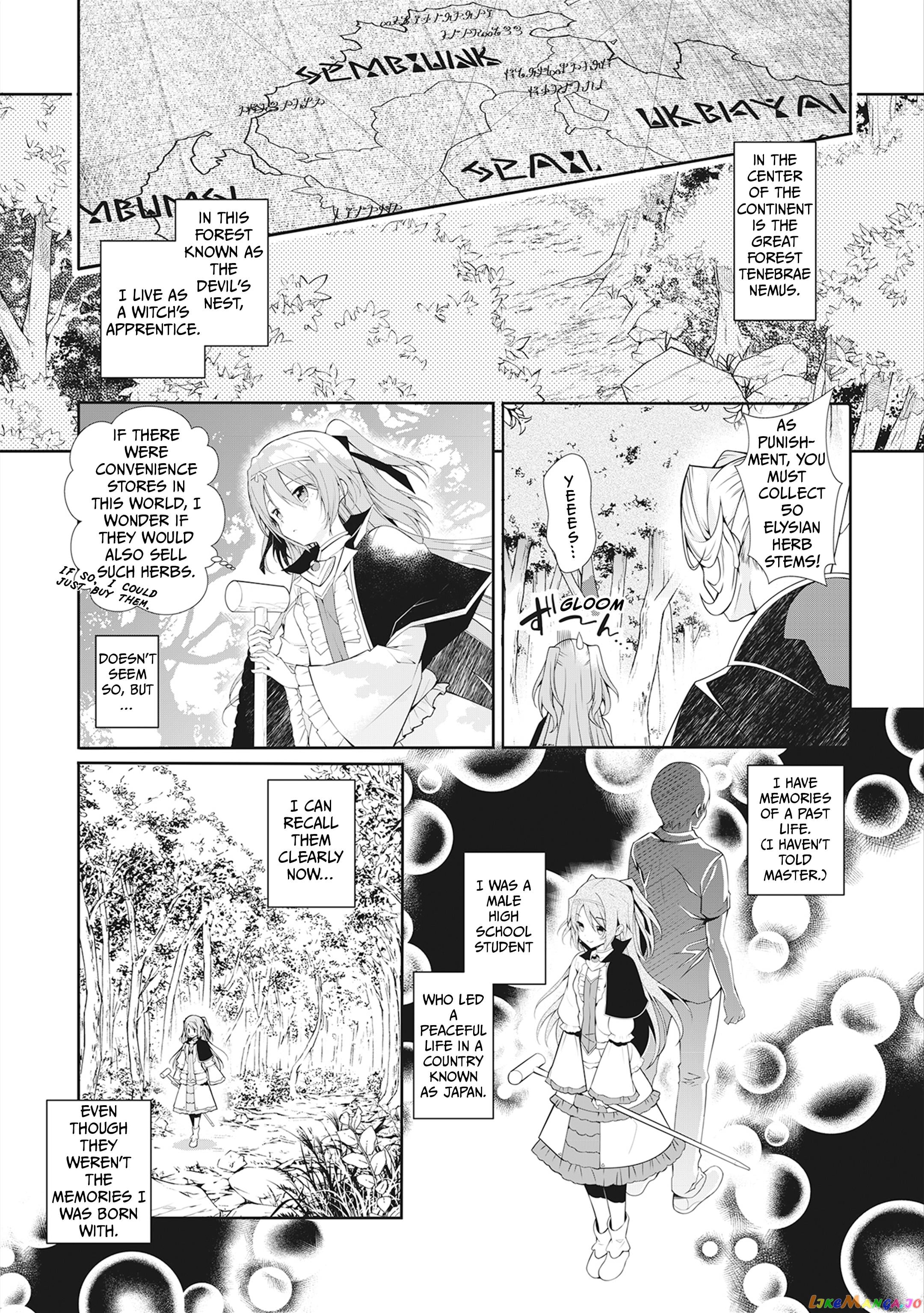 The Ragweed Princess From The Empire Of Livitium chapter 1 - page 5