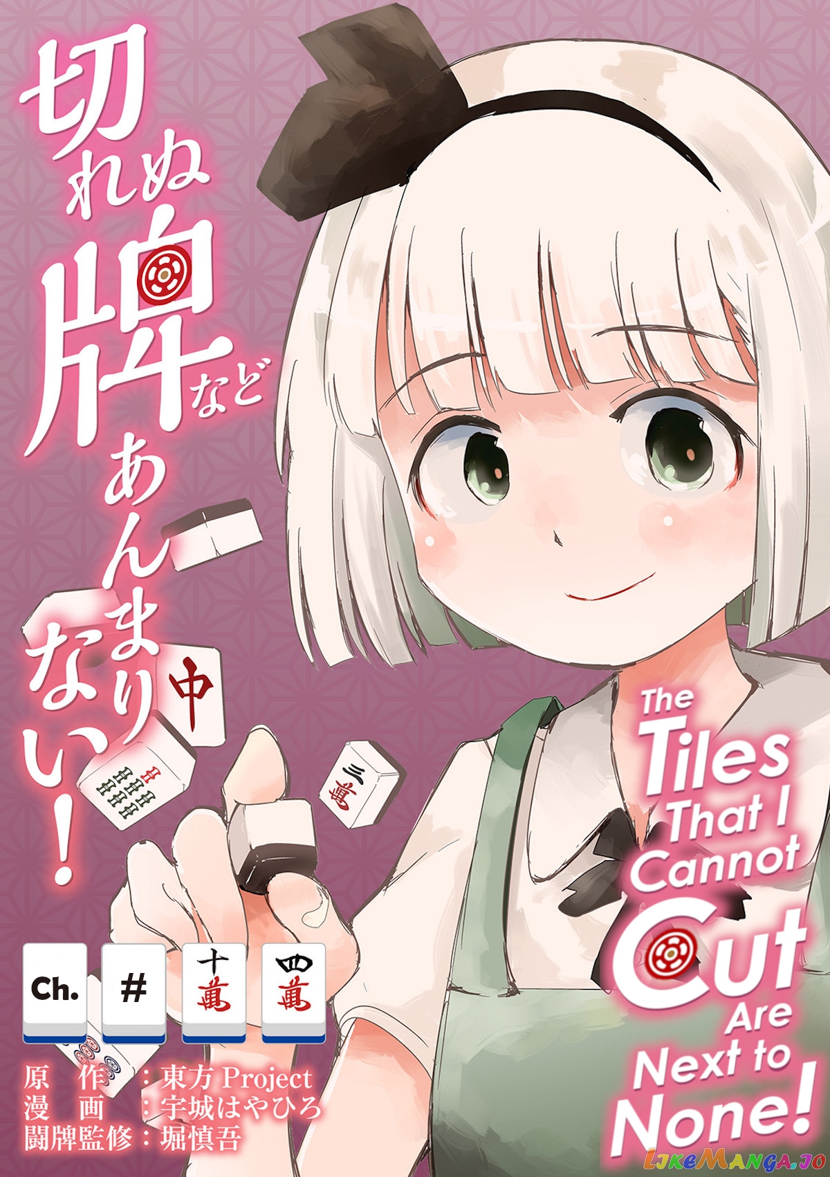 Touhou ~ The Tiles That I Cannot Cut Are Next To None! (Doujinshi) chapter 14 - page 1