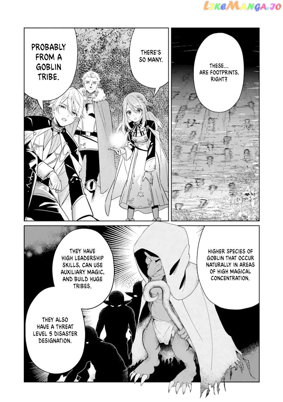 I Was Expelled From The Black Magician’s Guild And Picked Up As A Royal Court Magician chapter 10.2 - page 11