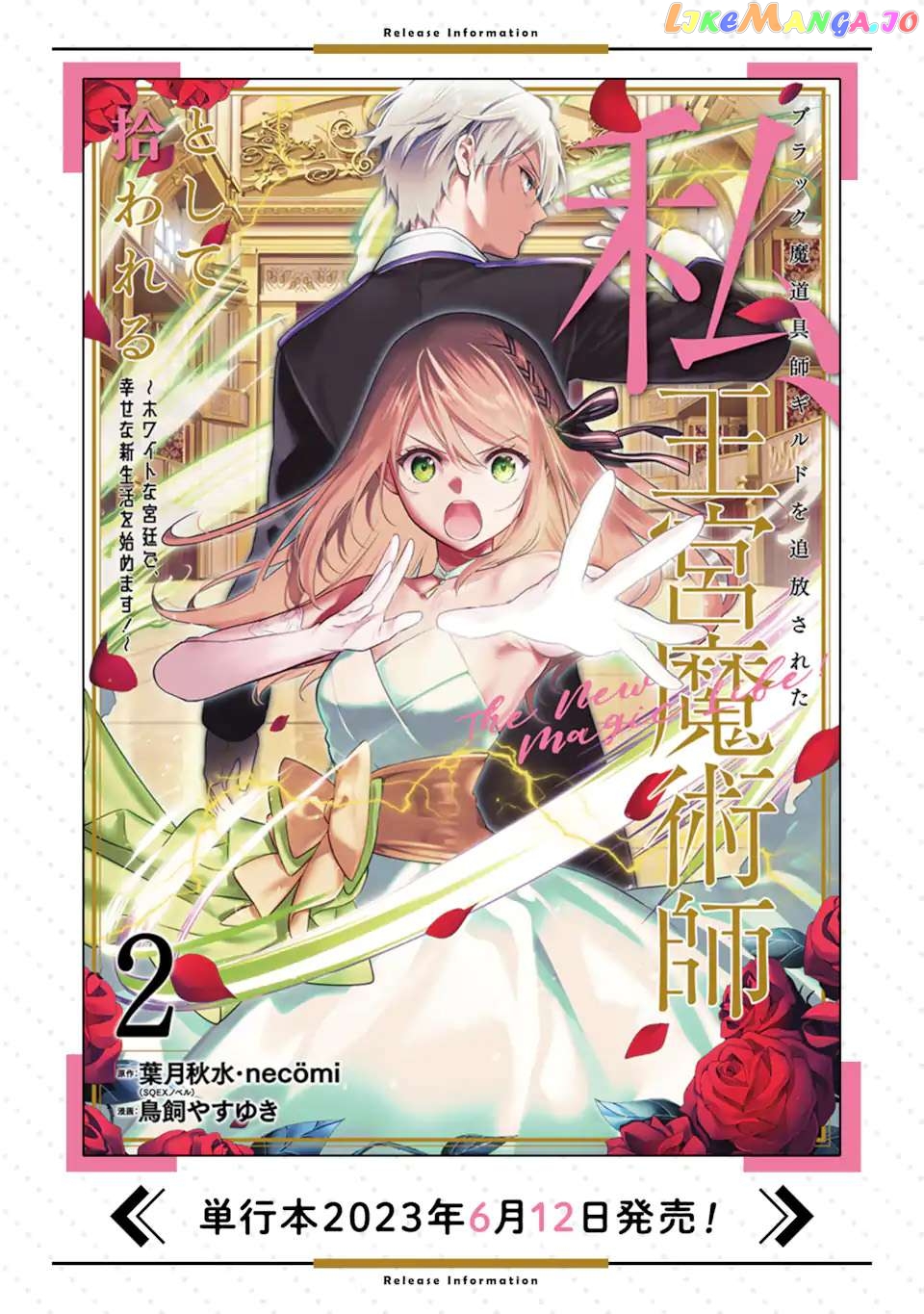 I Was Expelled From The Black Magician’s Guild And Picked Up As A Royal Court Magician chapter 10.2 - page 17