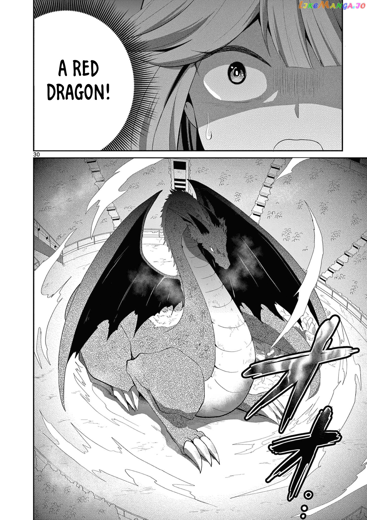 Onna dakara, to Party wo Tsuihou Sareta no de Densetsu no Majo to Saikyou Tag wo Kumimashita chapter 15.3 - page 10