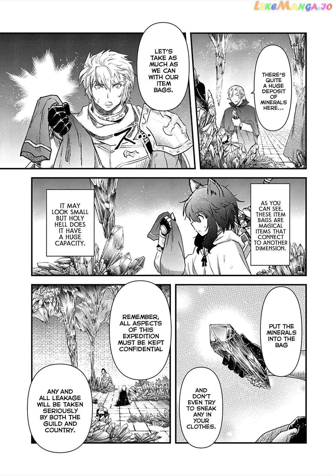 Tensei Shitara Ken deshita chapter 25 - page 13