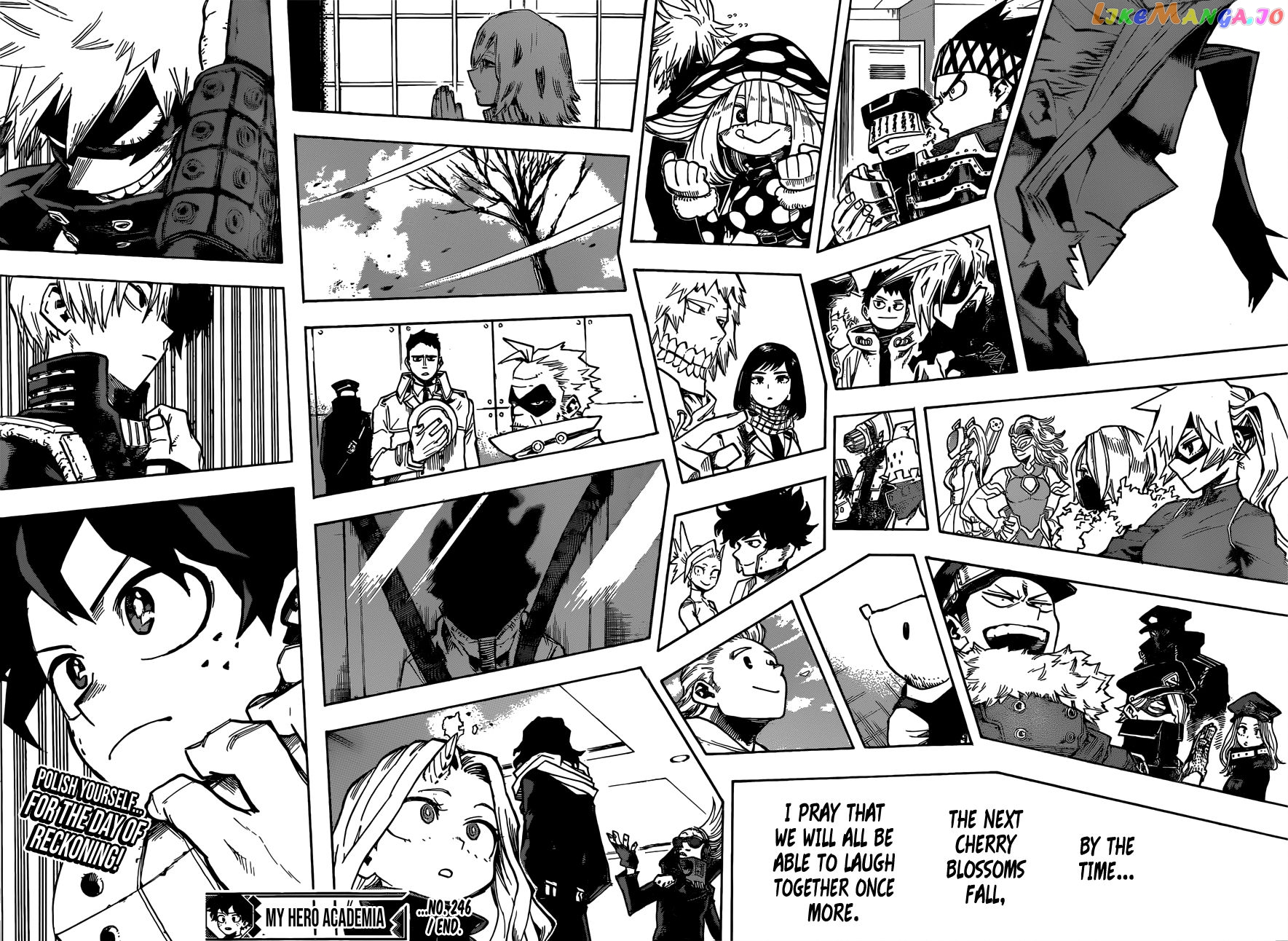 Boku No Hero Academia chapter 246 - page 16