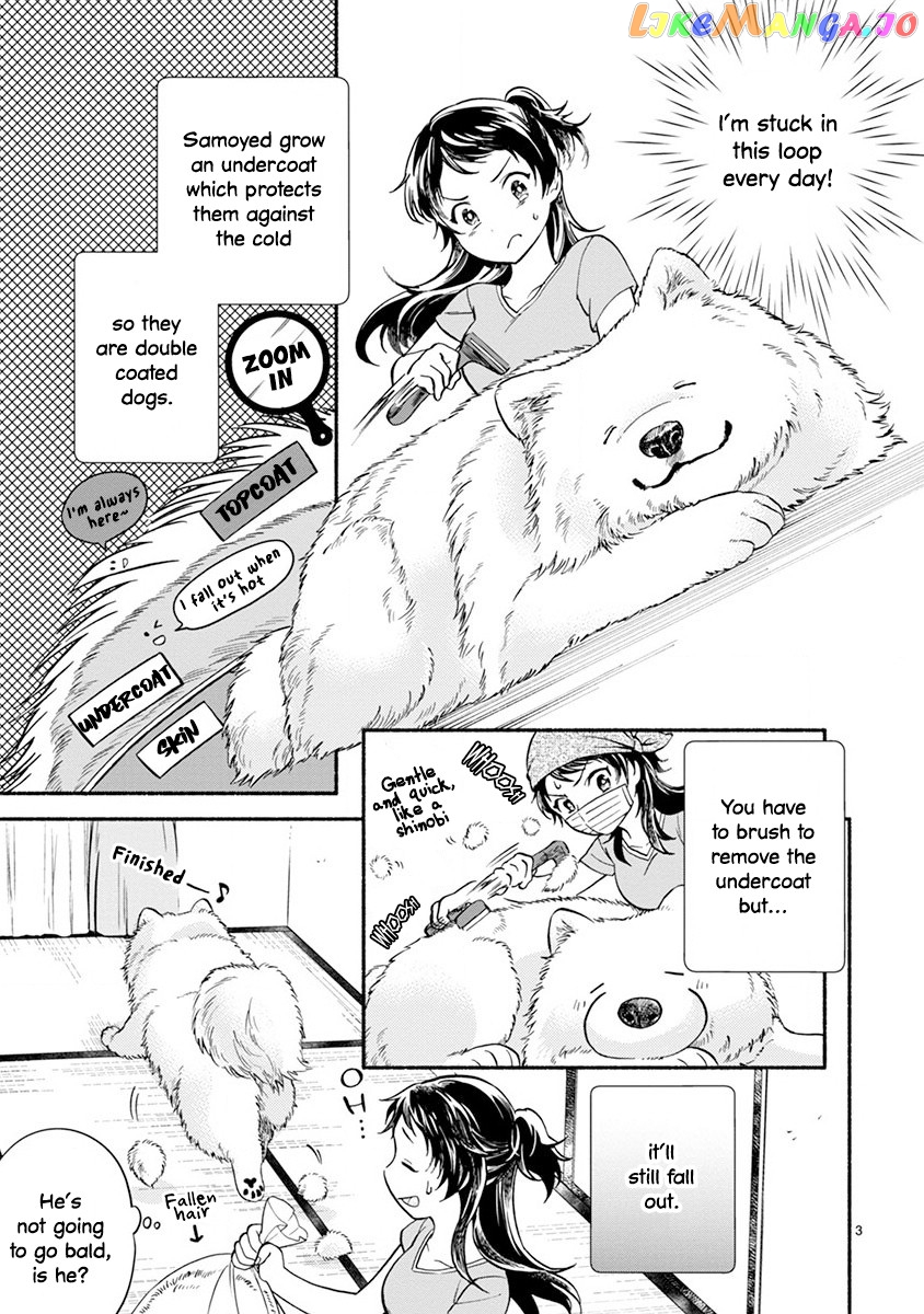 One-Room, Dog chapter 6 - page 5