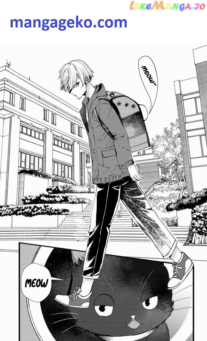 The Cold Beauty At School Became My Pet Cat chapter 4 - page 1