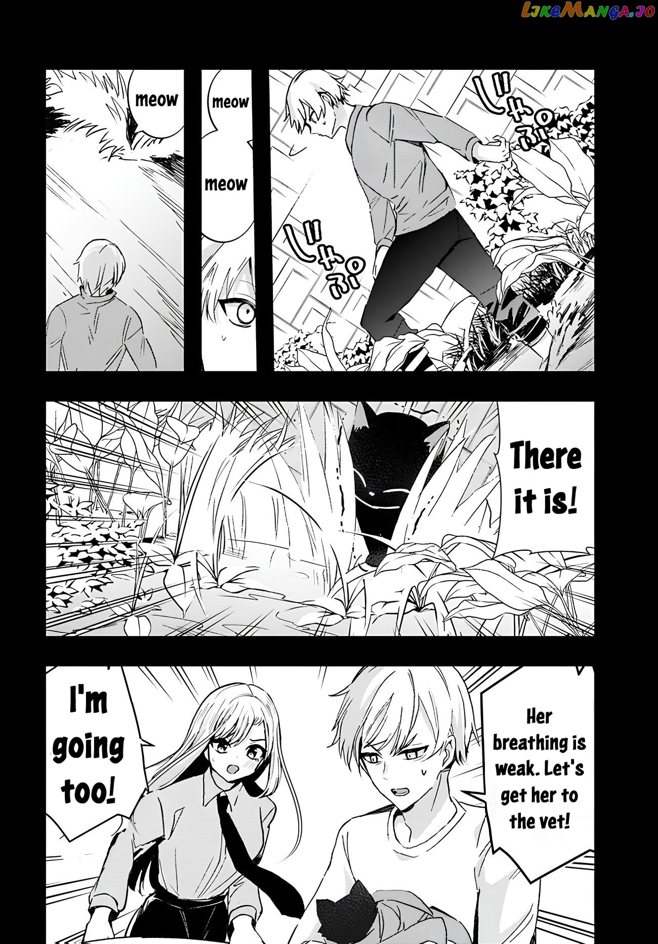The Cold Beauty At School Became My Pet Cat chapter 6 - page 4