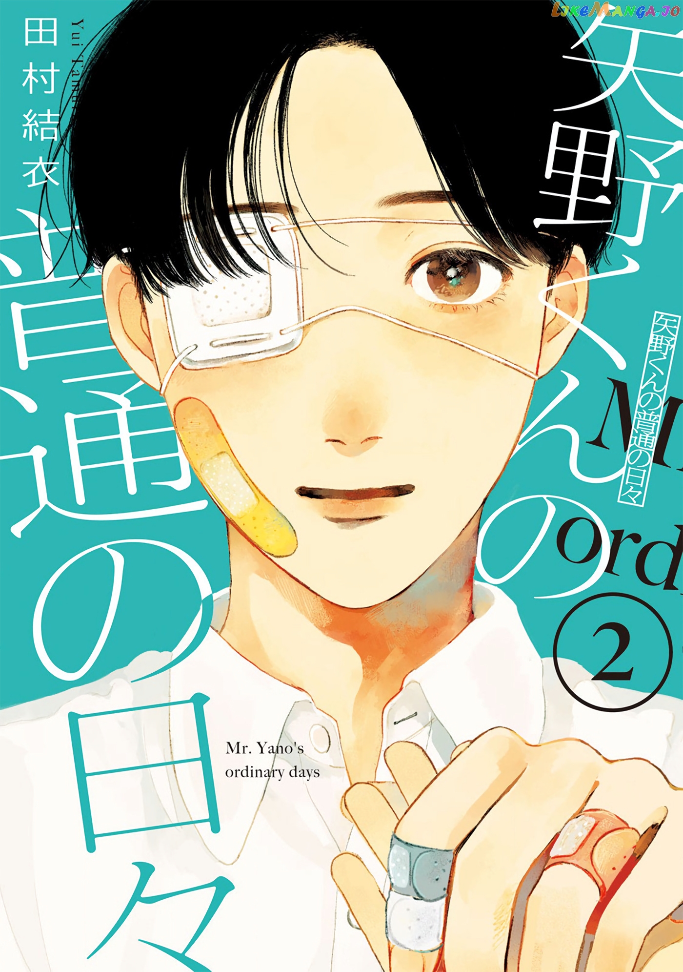 Yano-Kun No Futsuu No Hibi chapter 9 - page 2
