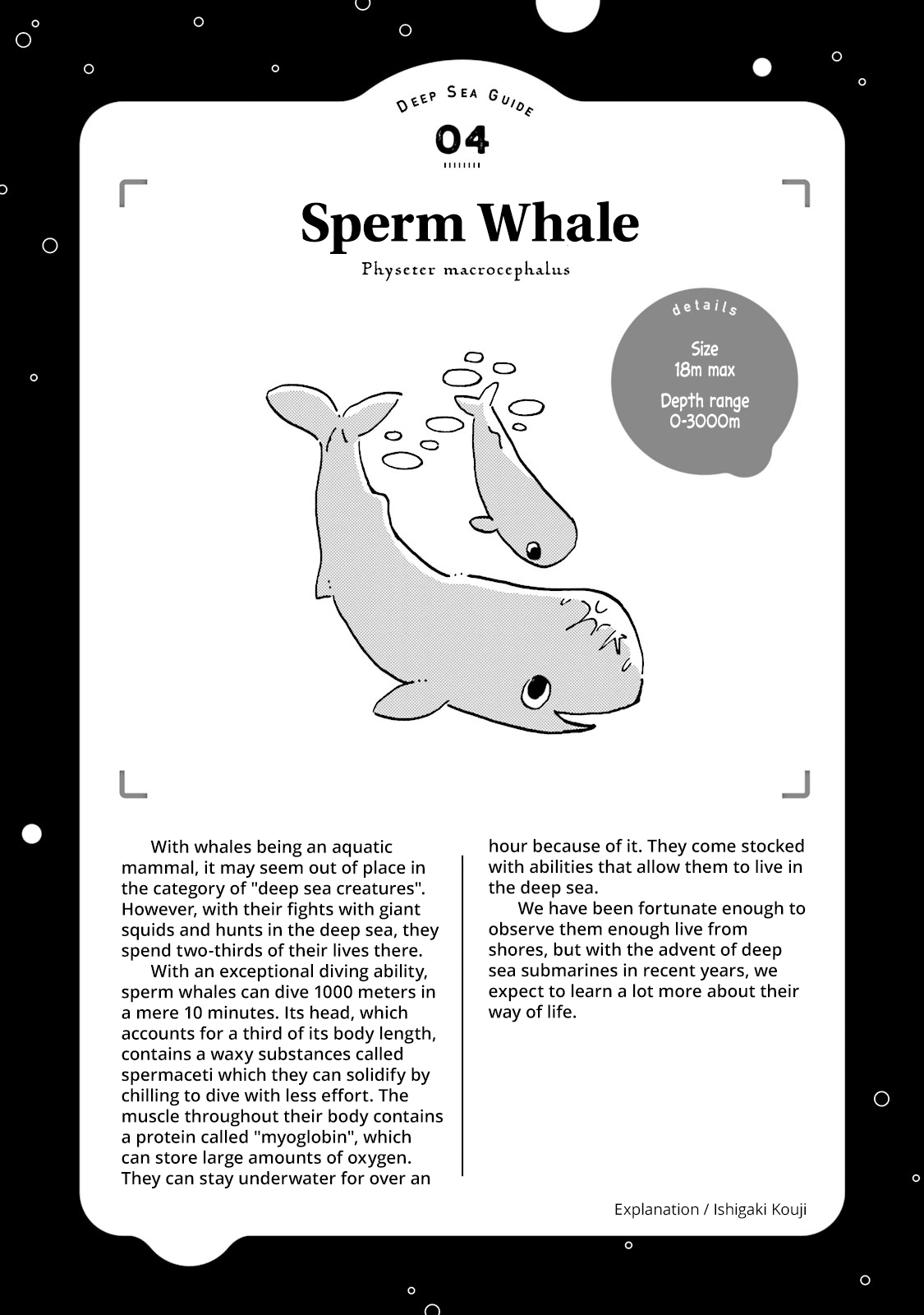 Deep Sea Aquarium Magmell chapter 4 - page 48