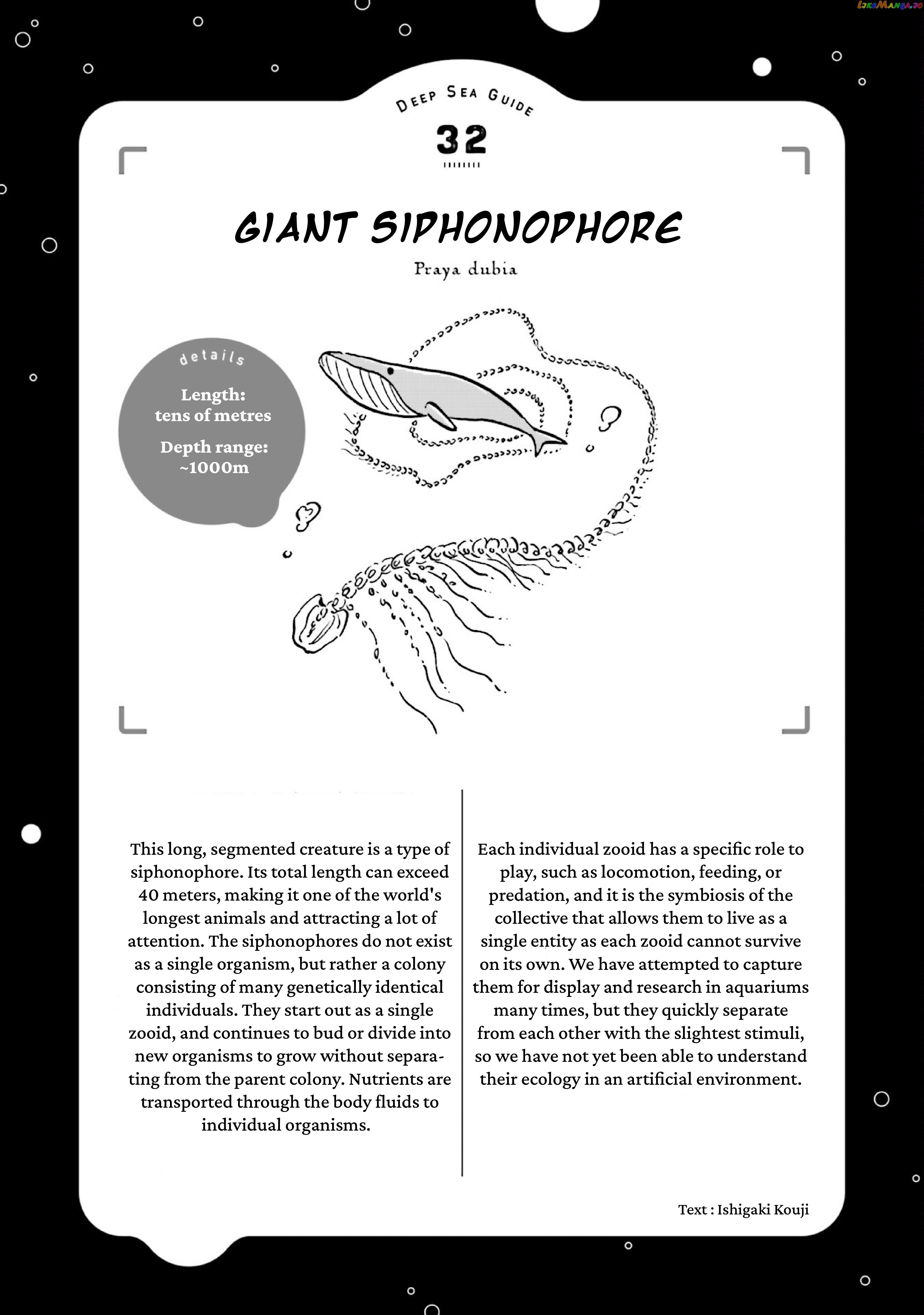 Deep Sea Aquarium Magmell chapter 39 - page 31