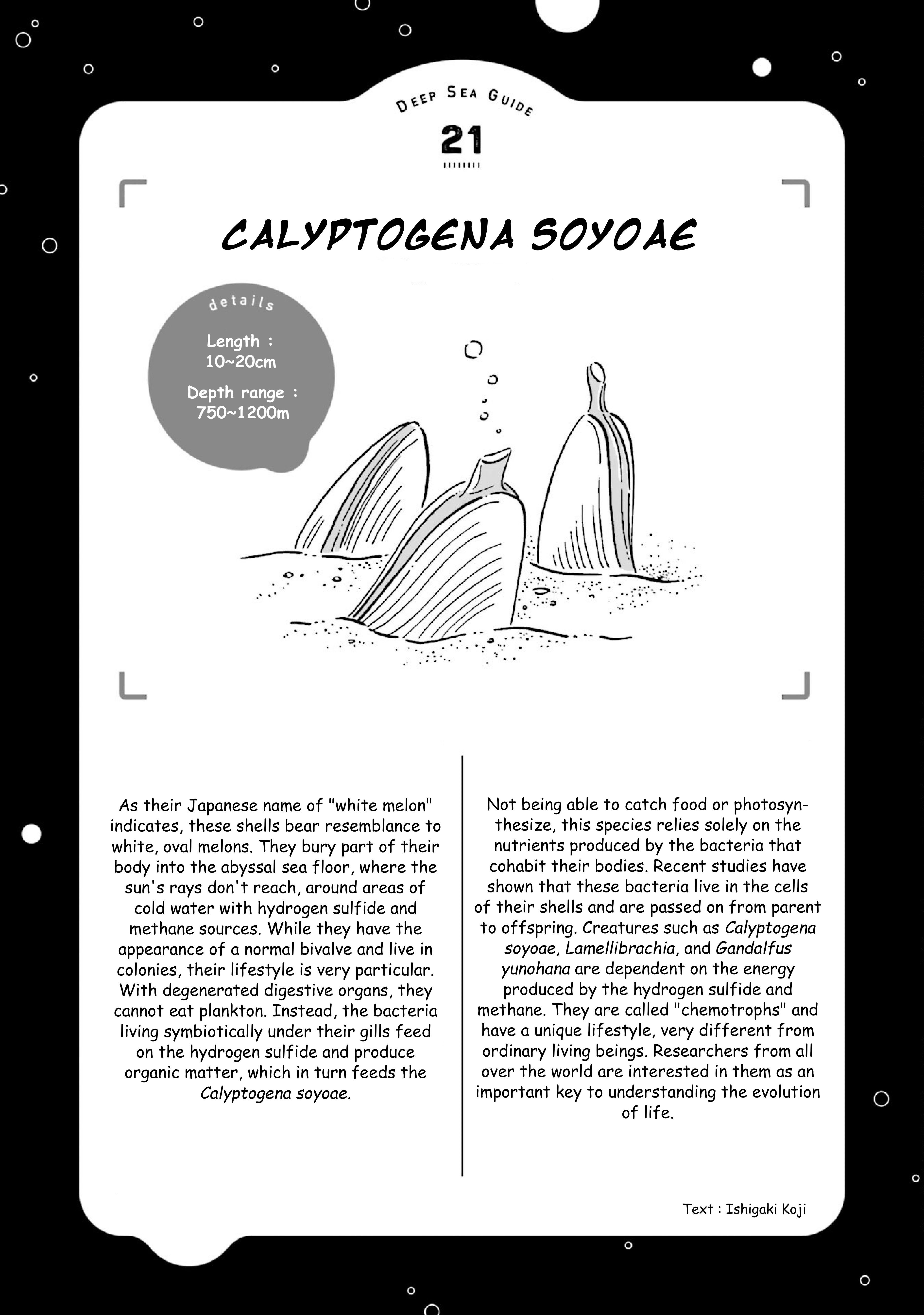 Deep Sea Aquarium Magmell chapter 25 - page 39