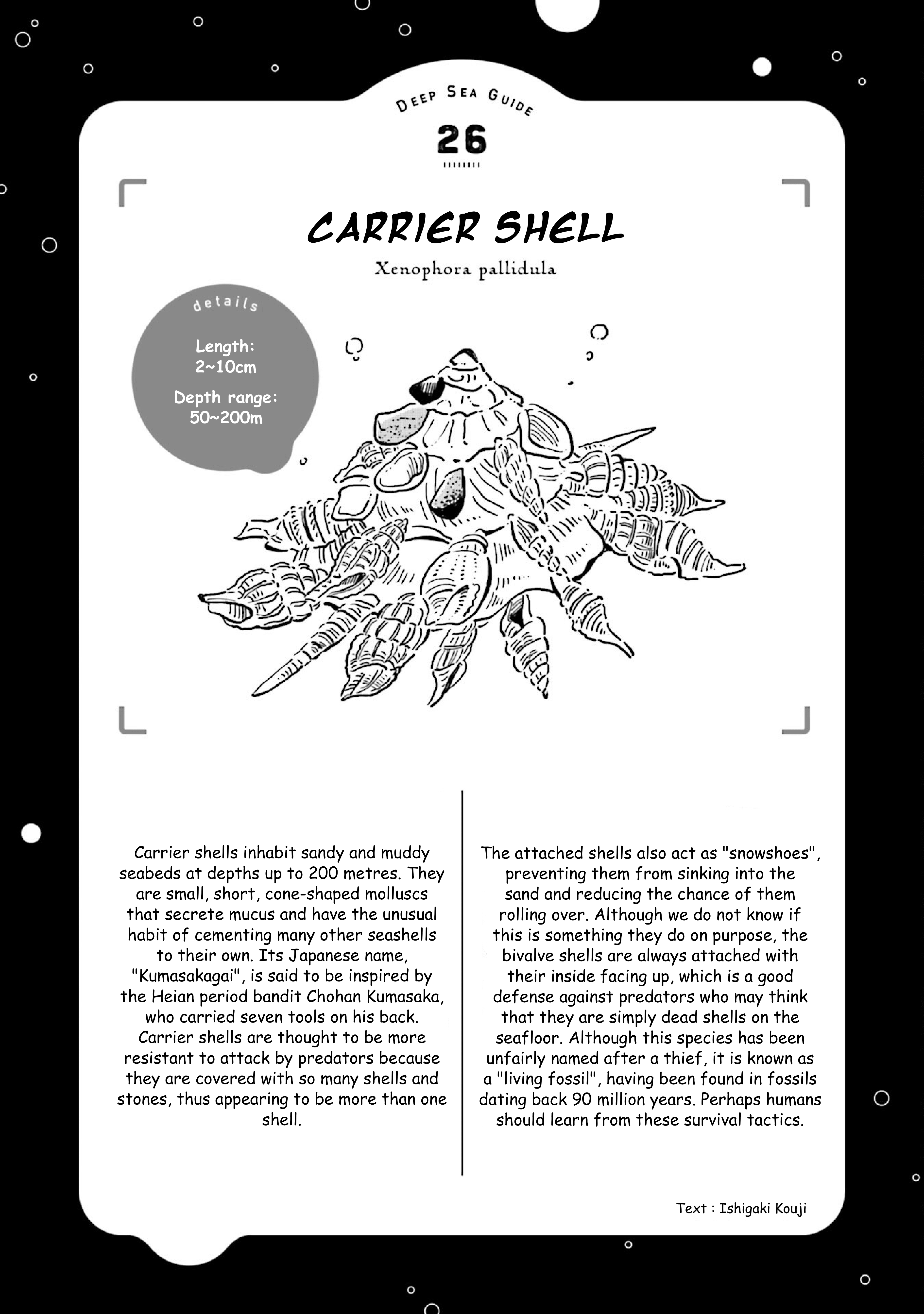 Deep Sea Aquarium Magmell chapter 31 - page 31