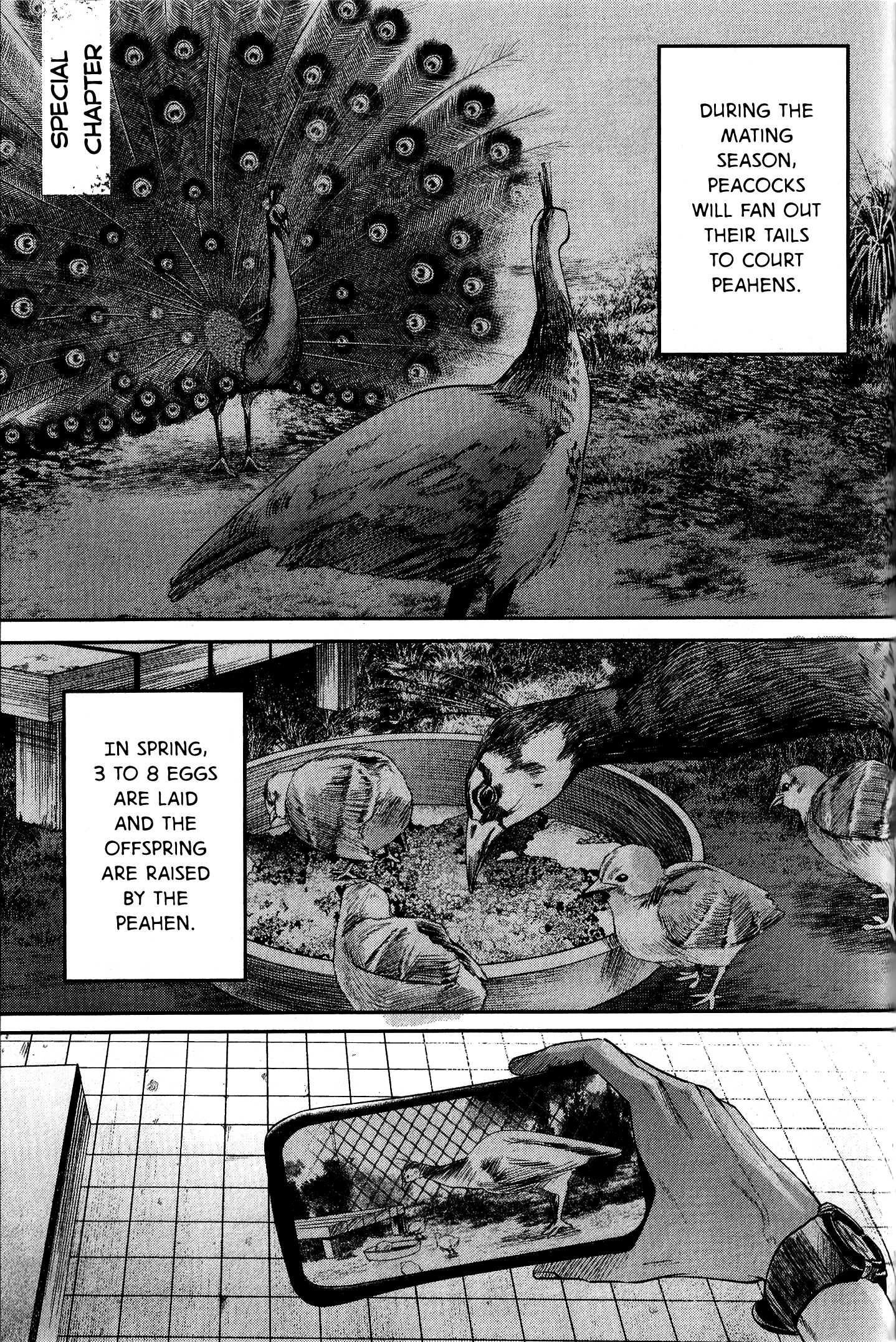 The Summer Hikaru Died chapter 11.7 - page 2
