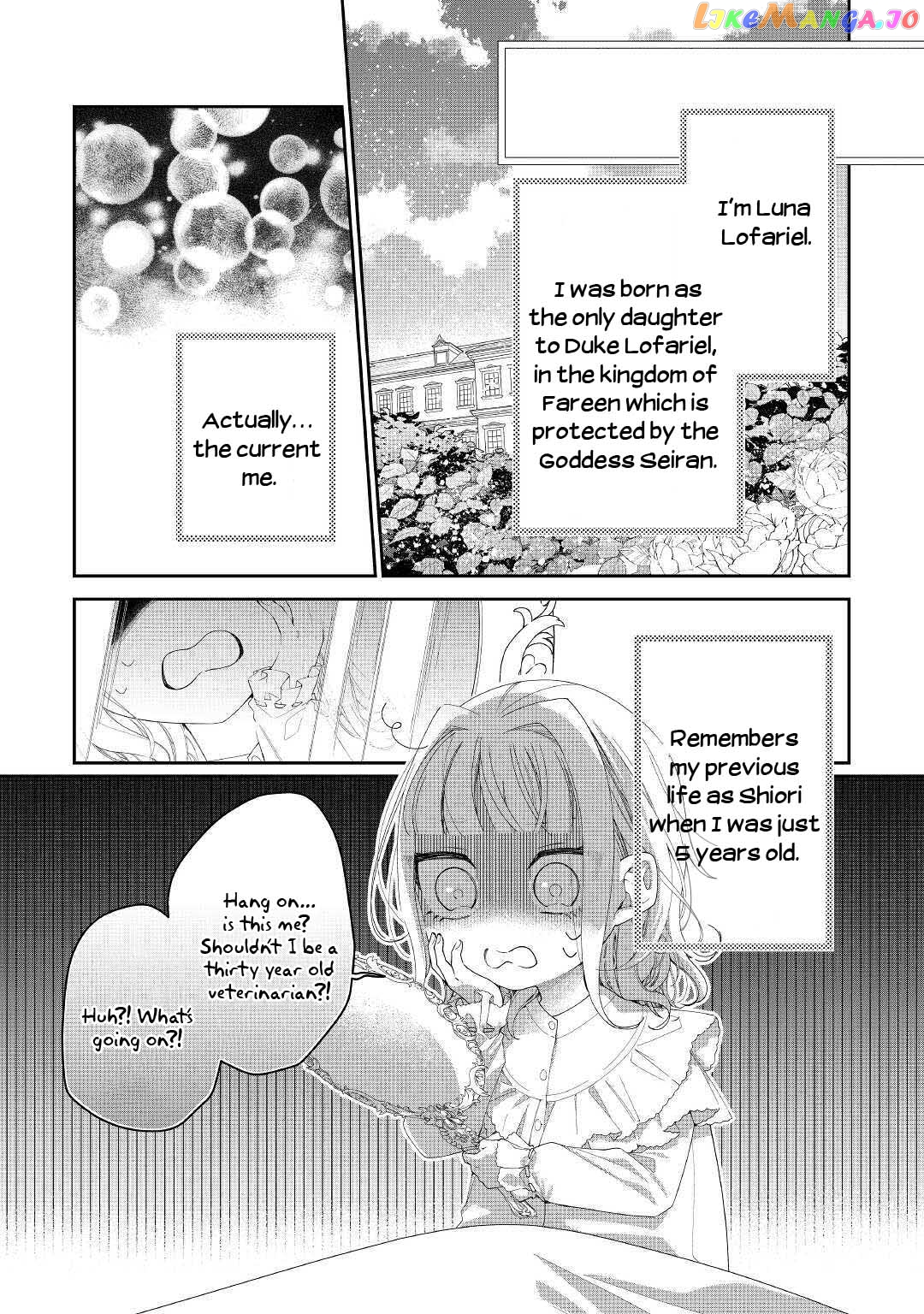 Former Vet Lady Has Had Her Engagement Called Off, but is Very Popular With the Fluffies! chapter 1 - page 5