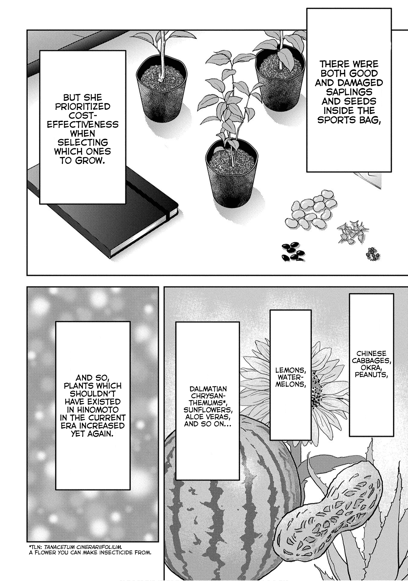 Sengoku Komachi Kurou Tan! chapter 21 - page 11